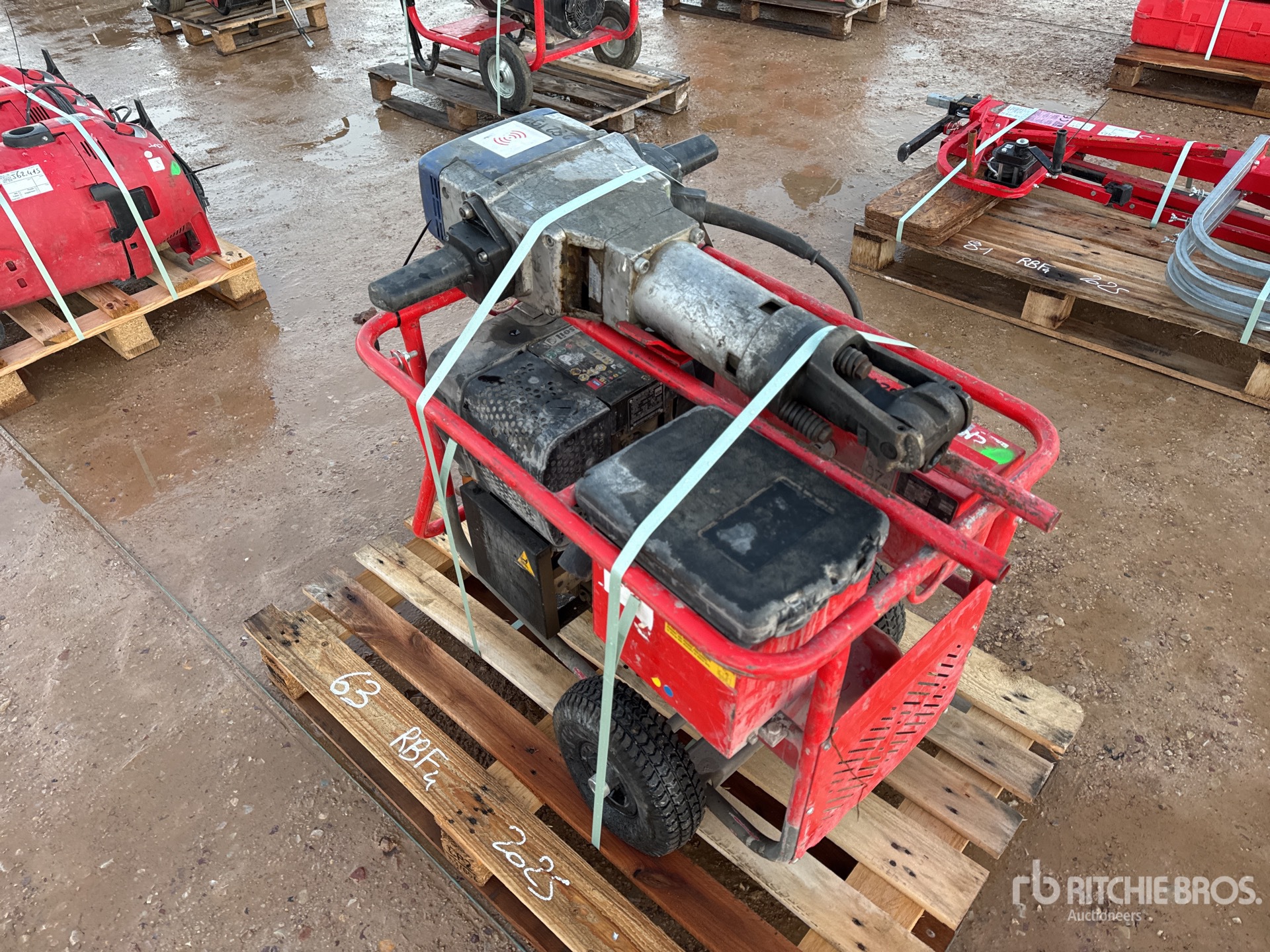 General Appearance with 