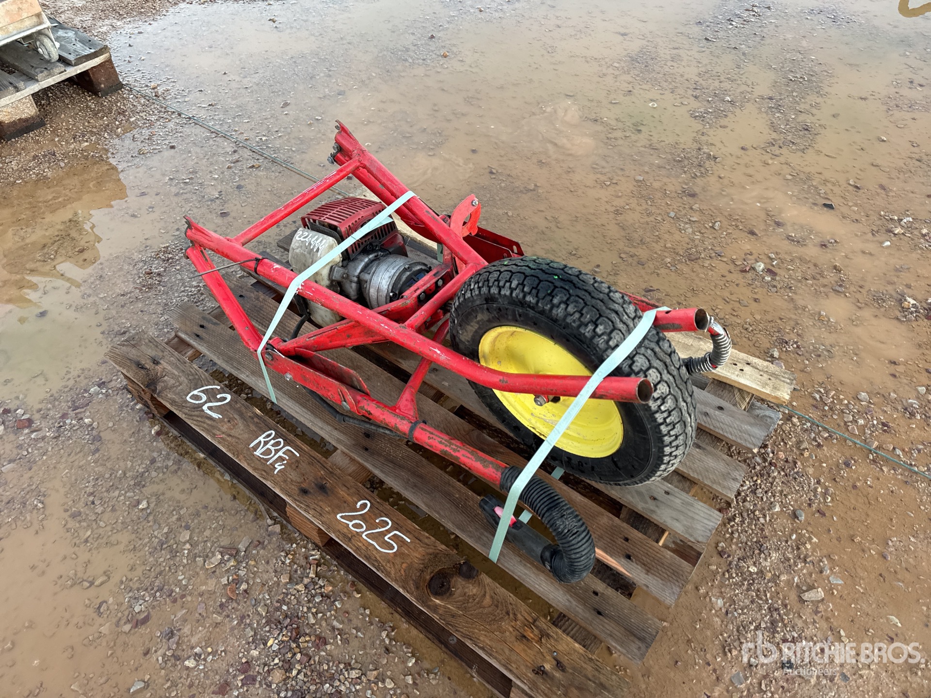 General Appearance with 