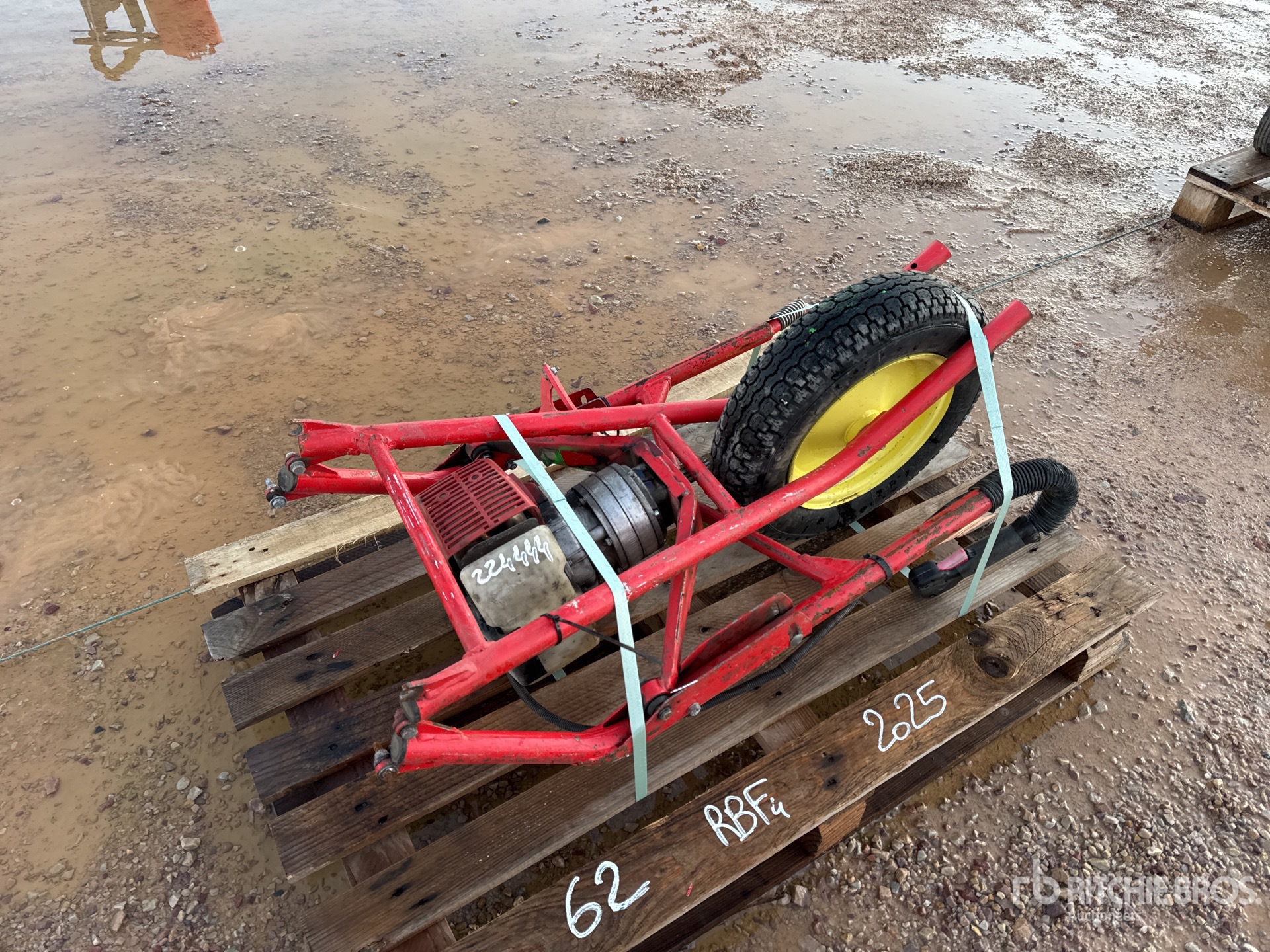 General Appearance with 