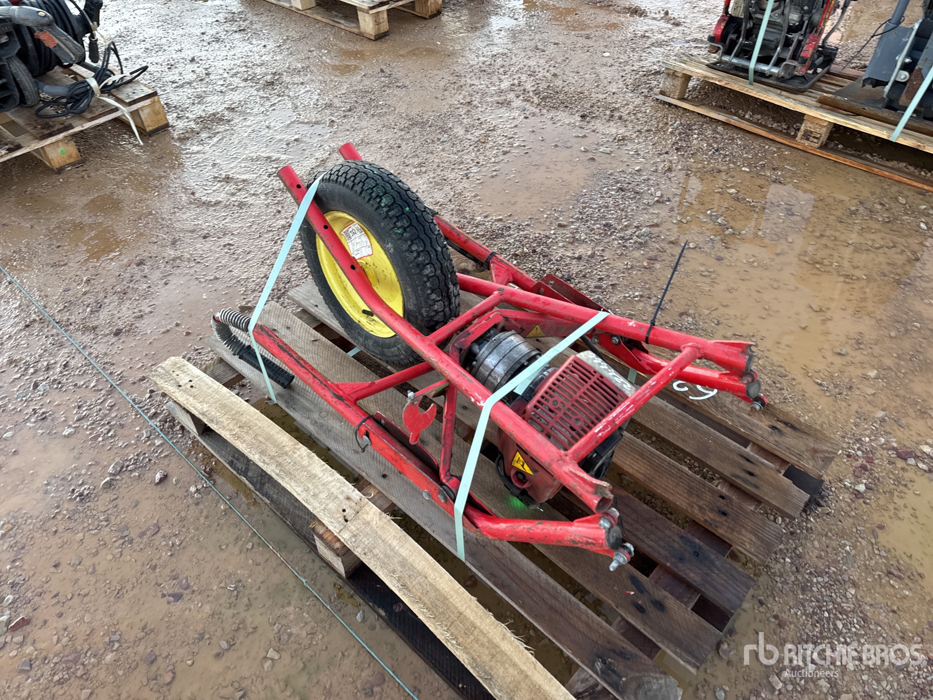 General Appearance with 