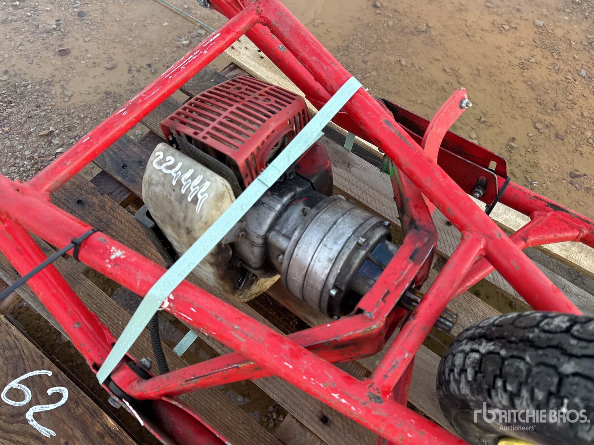 General Appearance with 