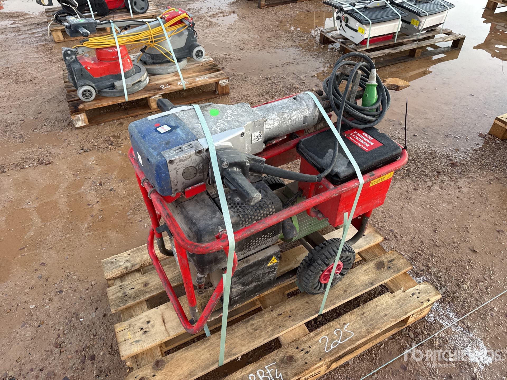 General Appearance with 