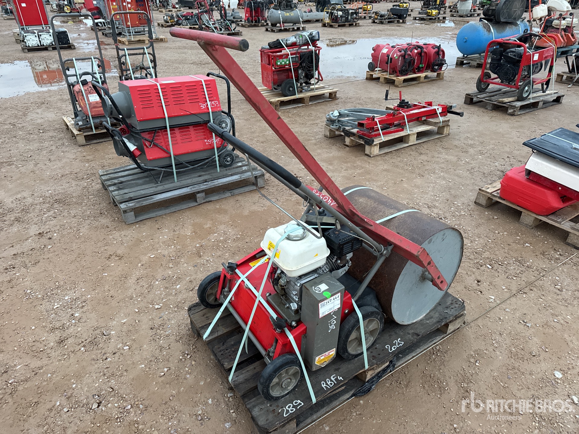 General Appearance with 