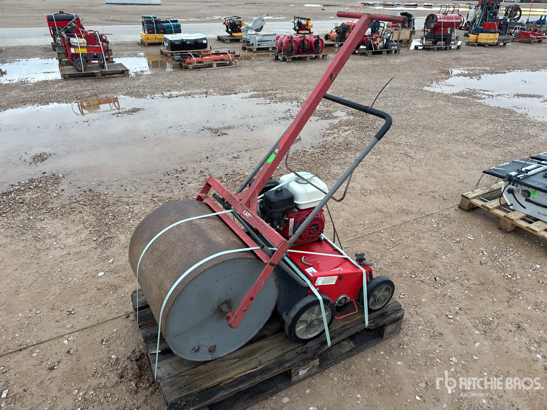 General Appearance with 