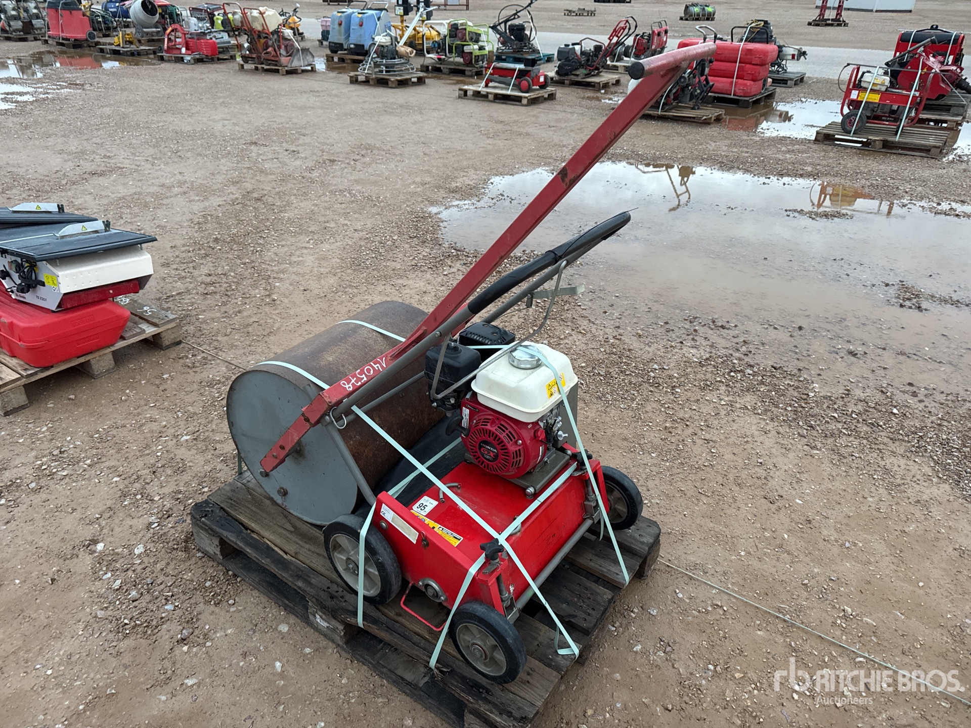 General Appearance with 