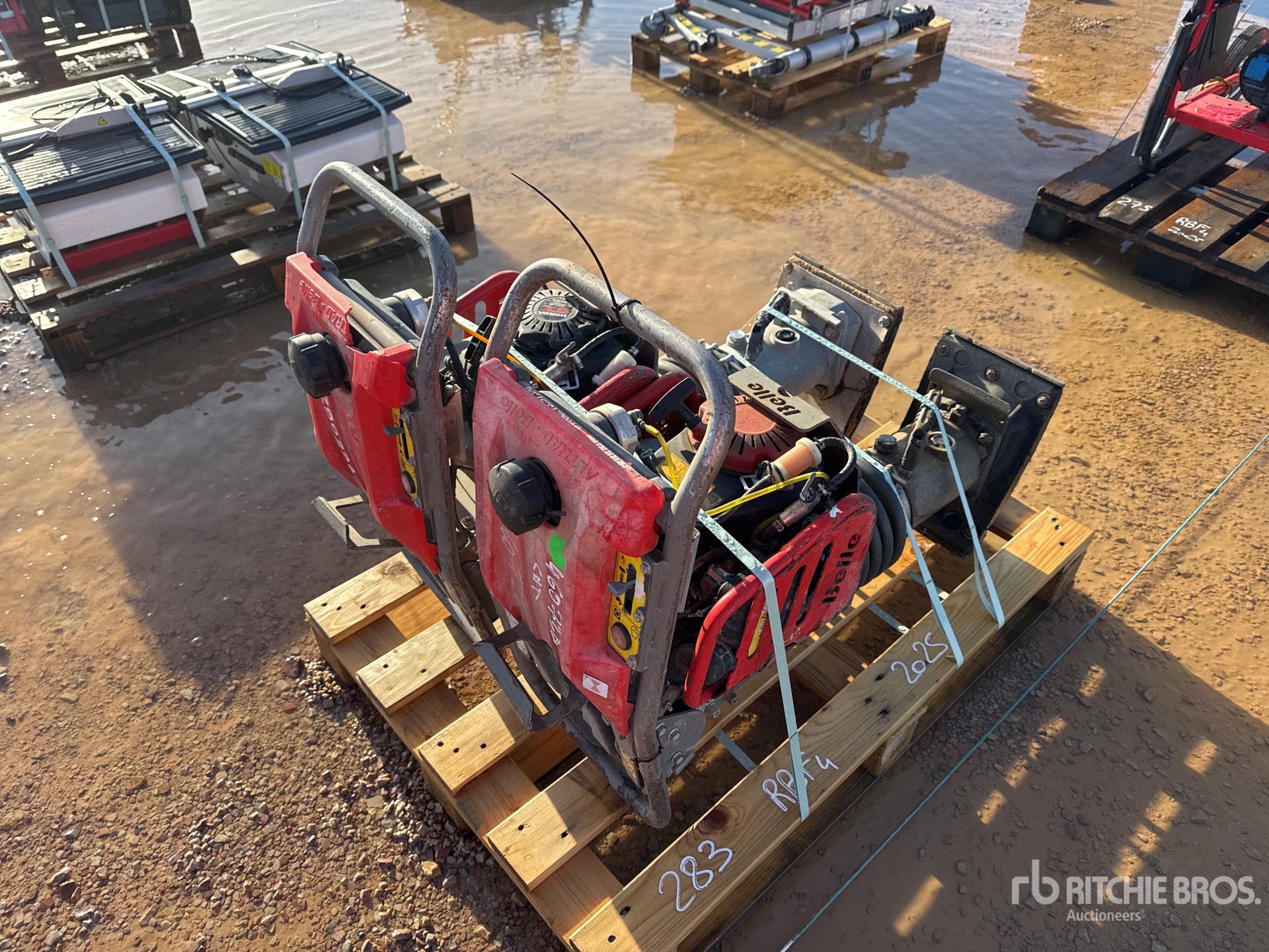 General Appearance with 