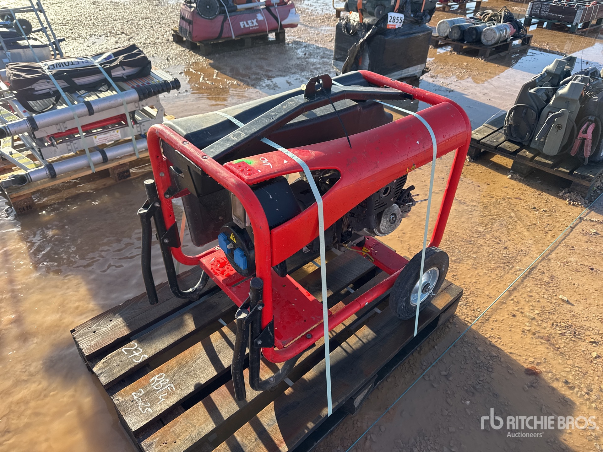 General Appearance with 