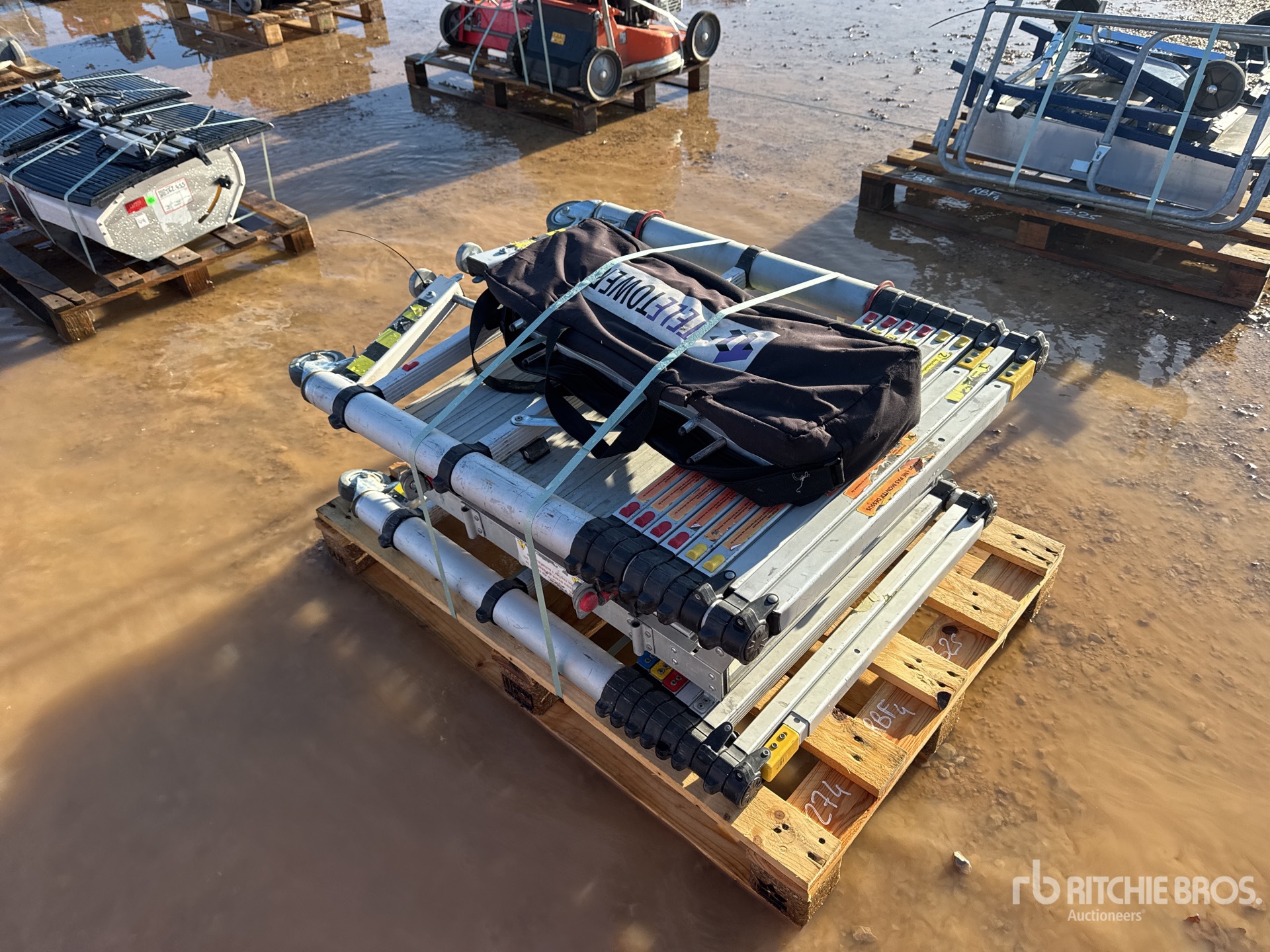 General Appearance with 