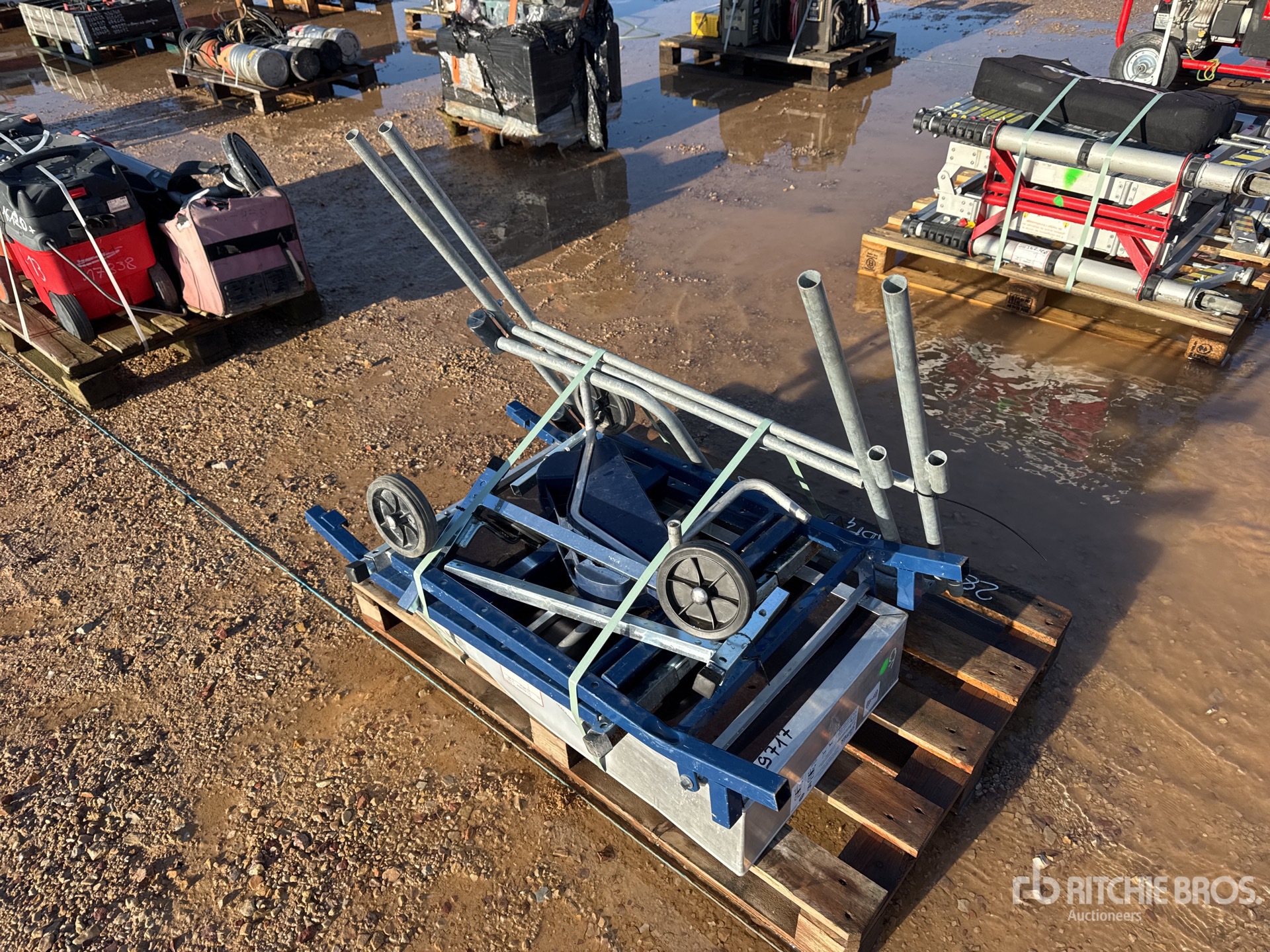 General Appearance with 