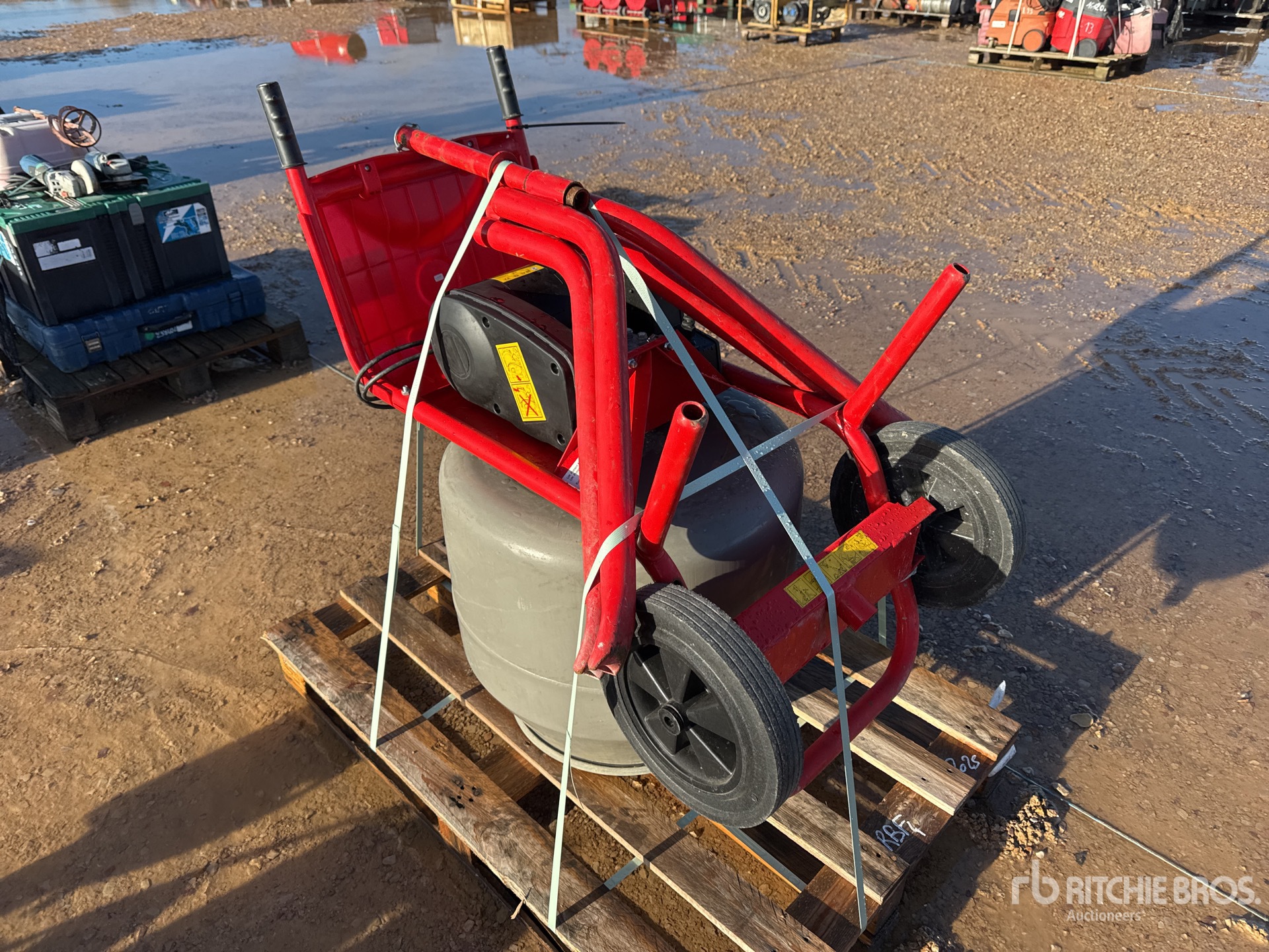 General Appearance with 