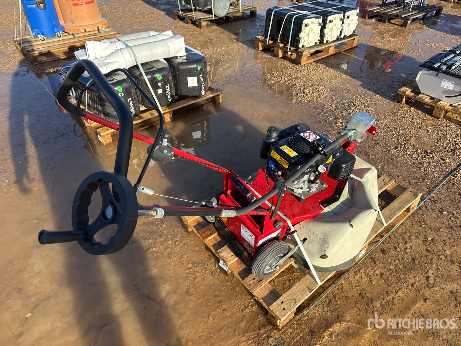 General Appearance with 