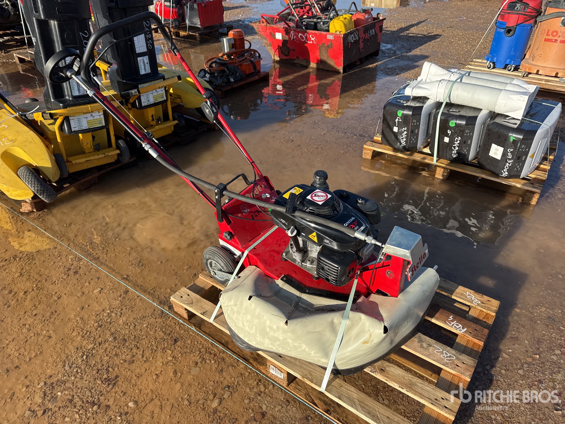 General Appearance with 