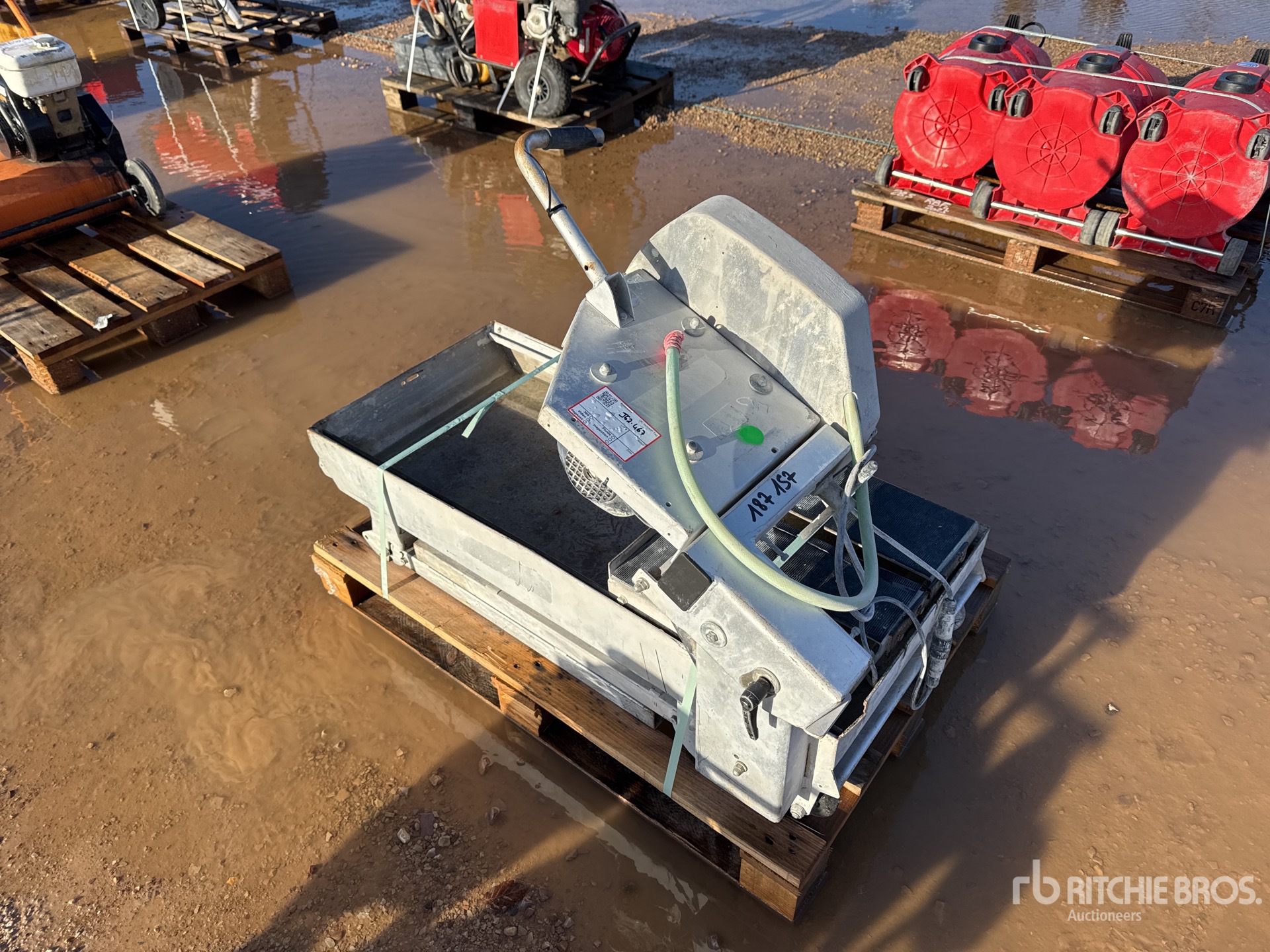 General Appearance with 