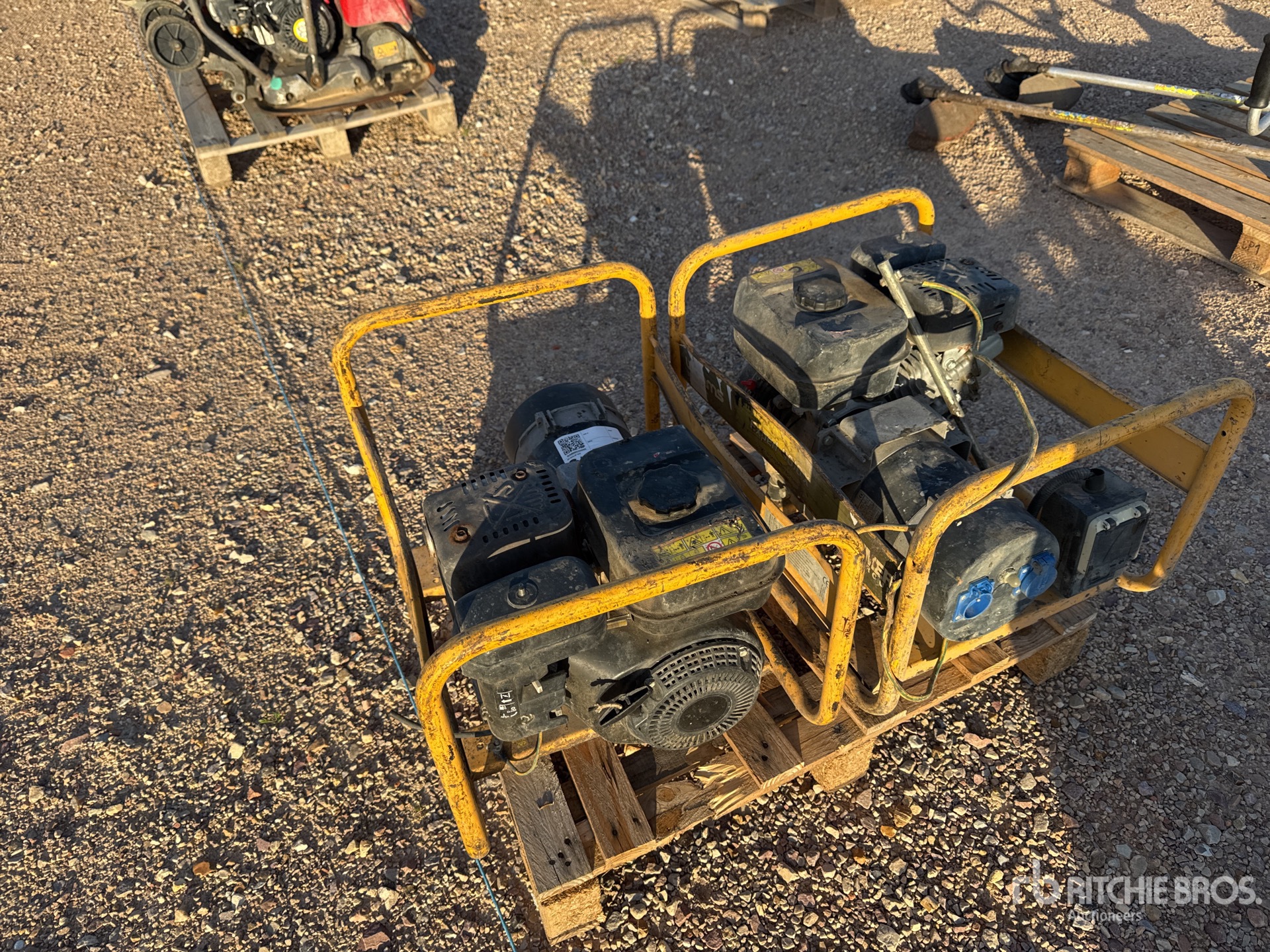 General Appearance with 