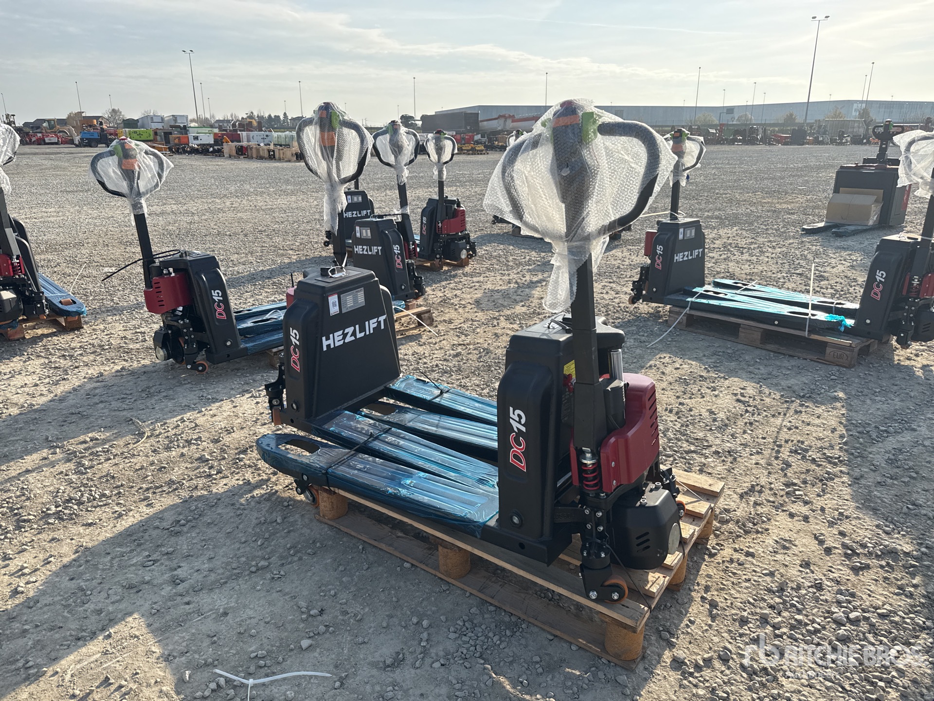 General Appearance with 