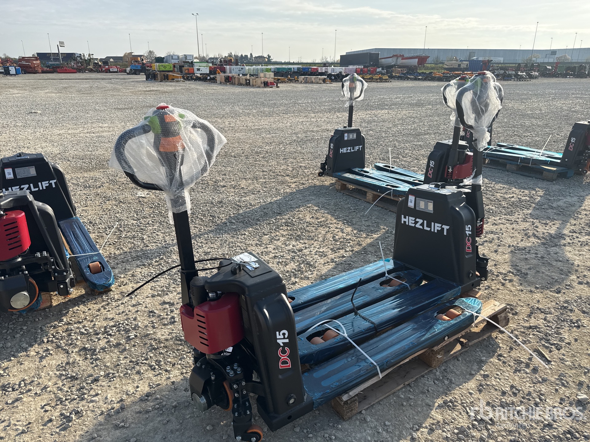 General Appearance with 