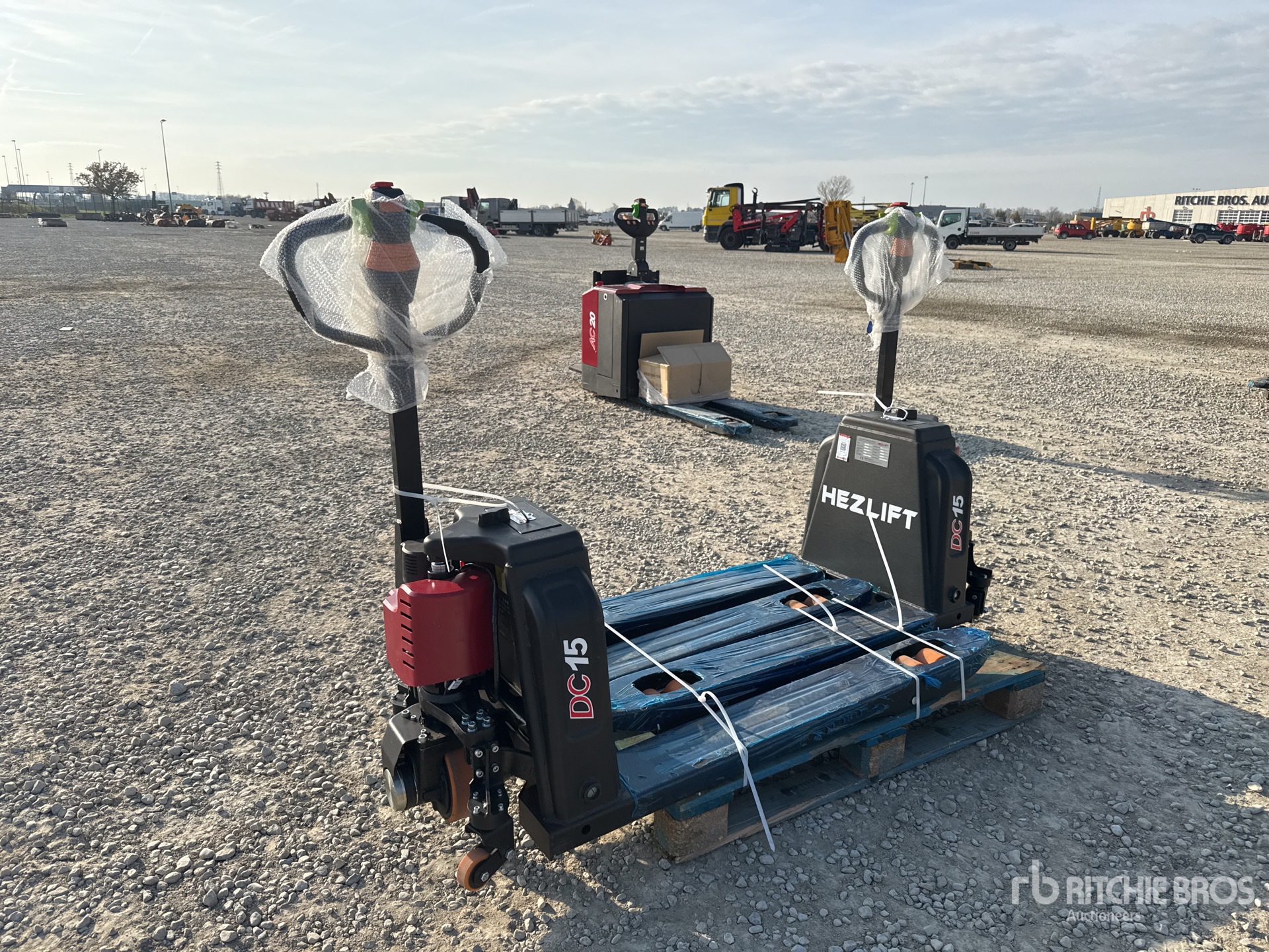 General Appearance with 