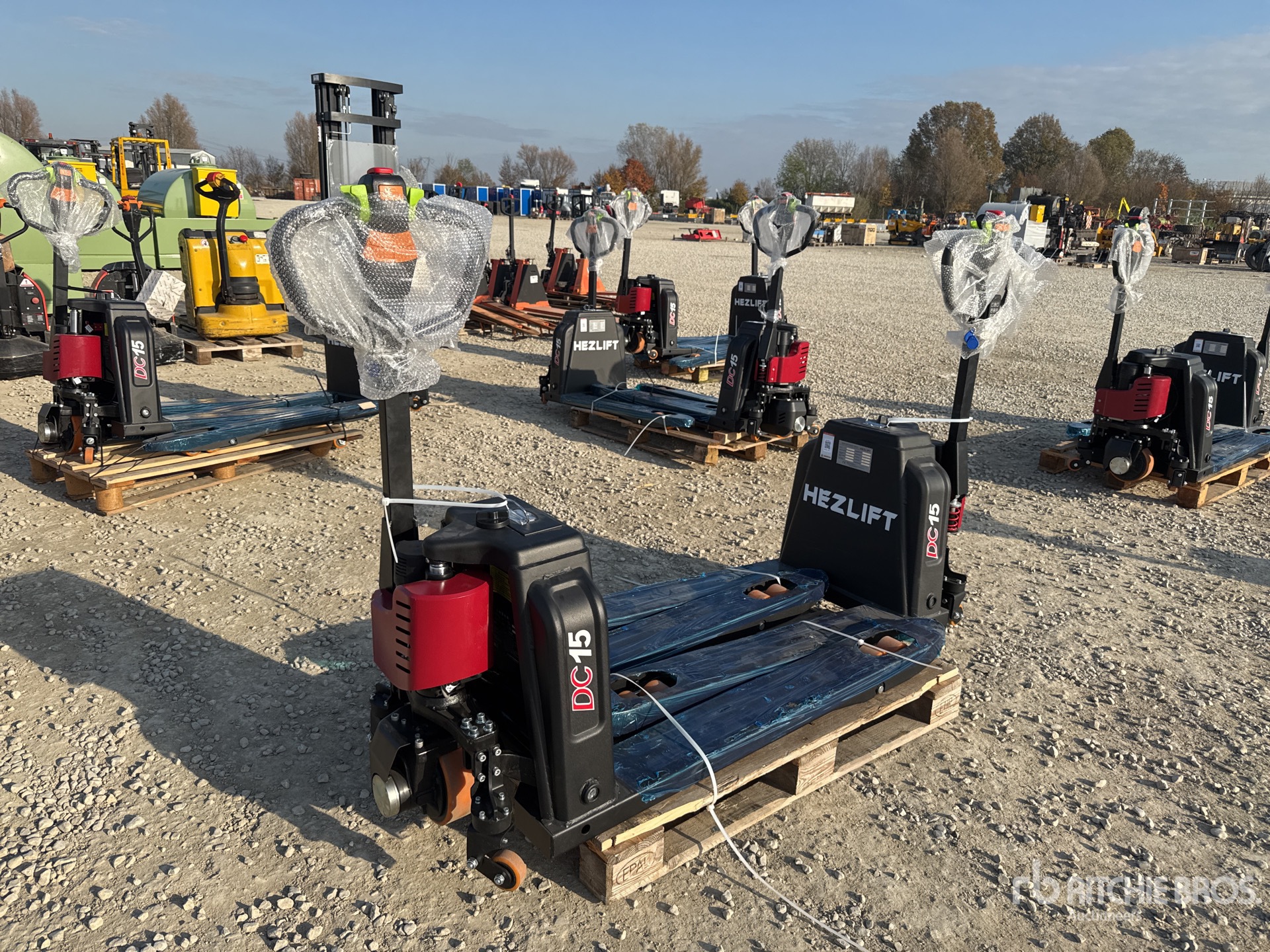 General Appearance with 