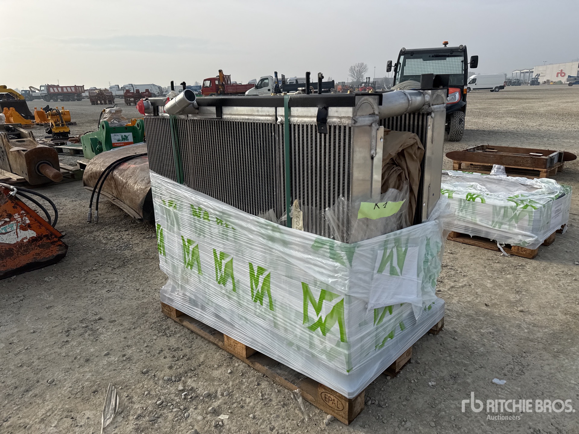 General Appearance with 