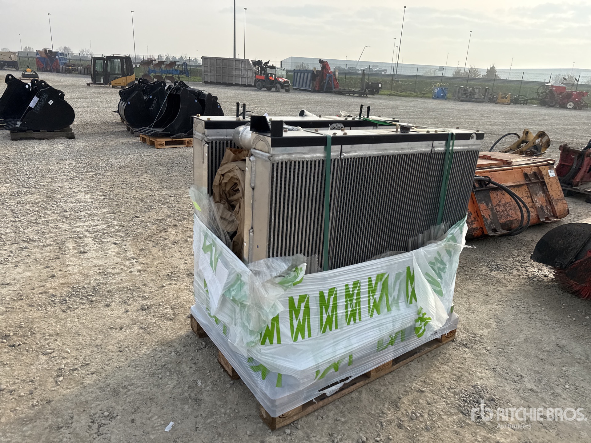 General Appearance with 