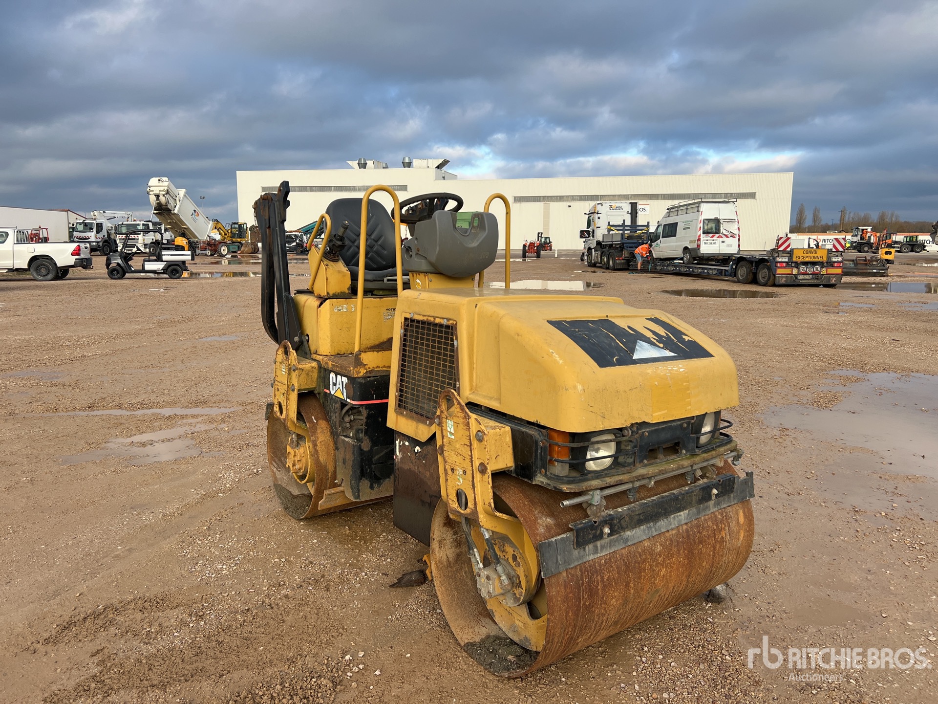 General Appearance with 