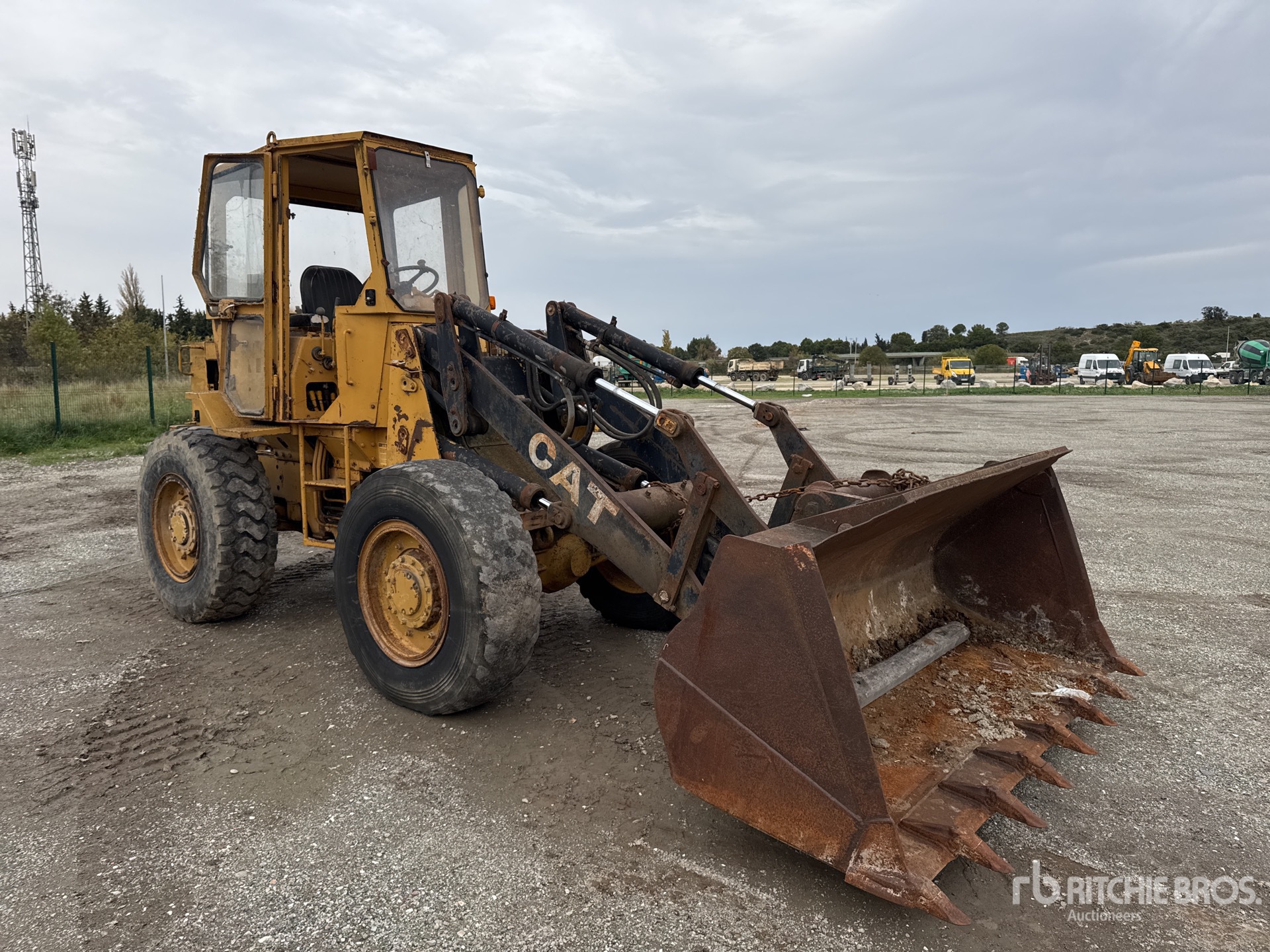 General Appearance with 