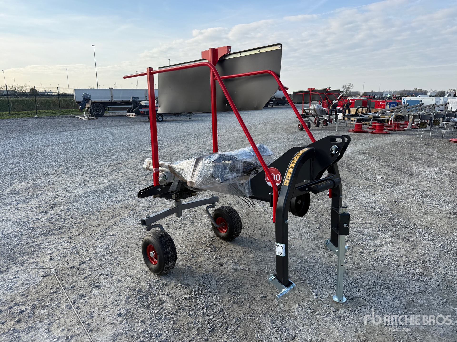 General Appearance with 