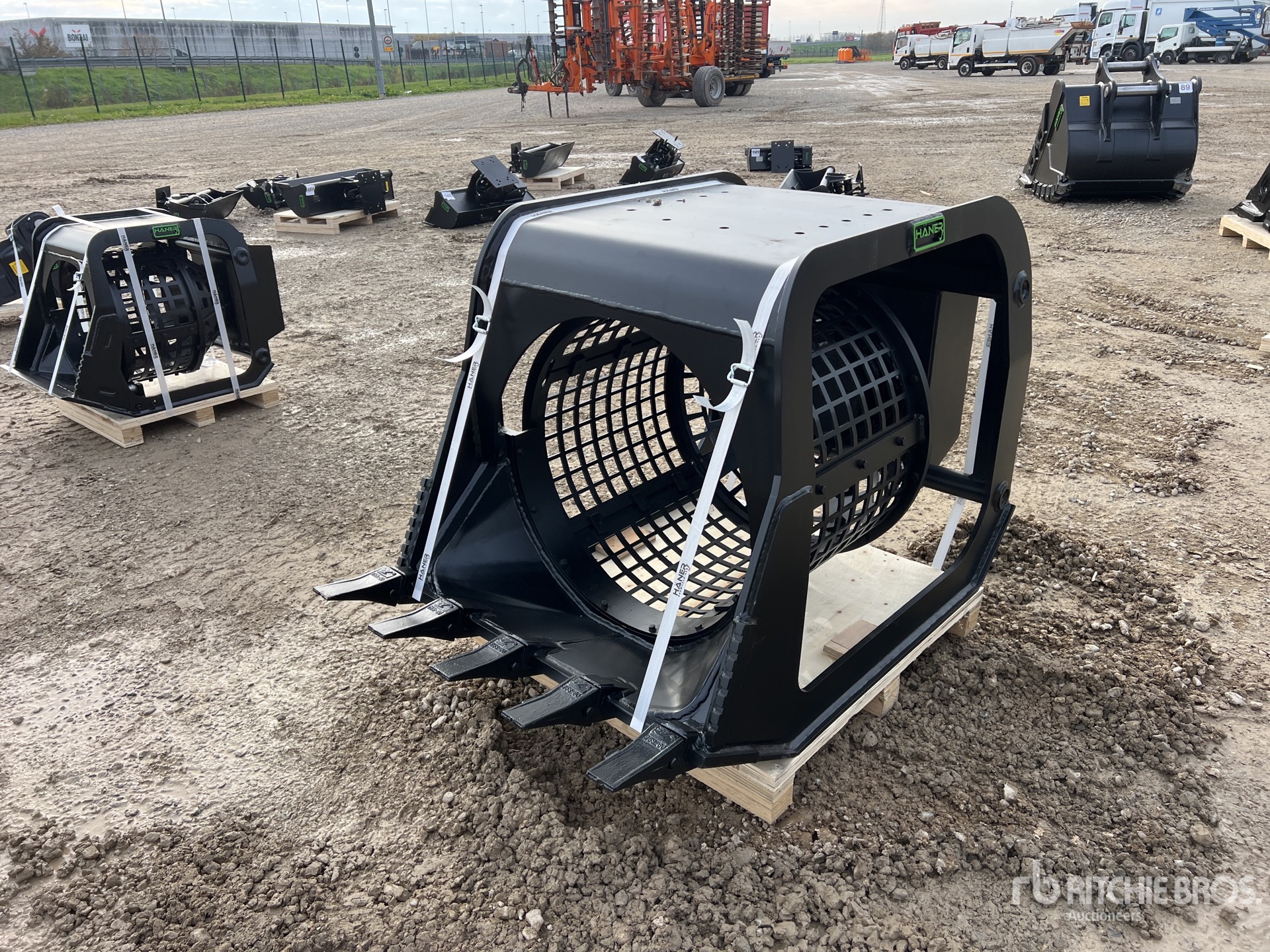 General Appearance with 