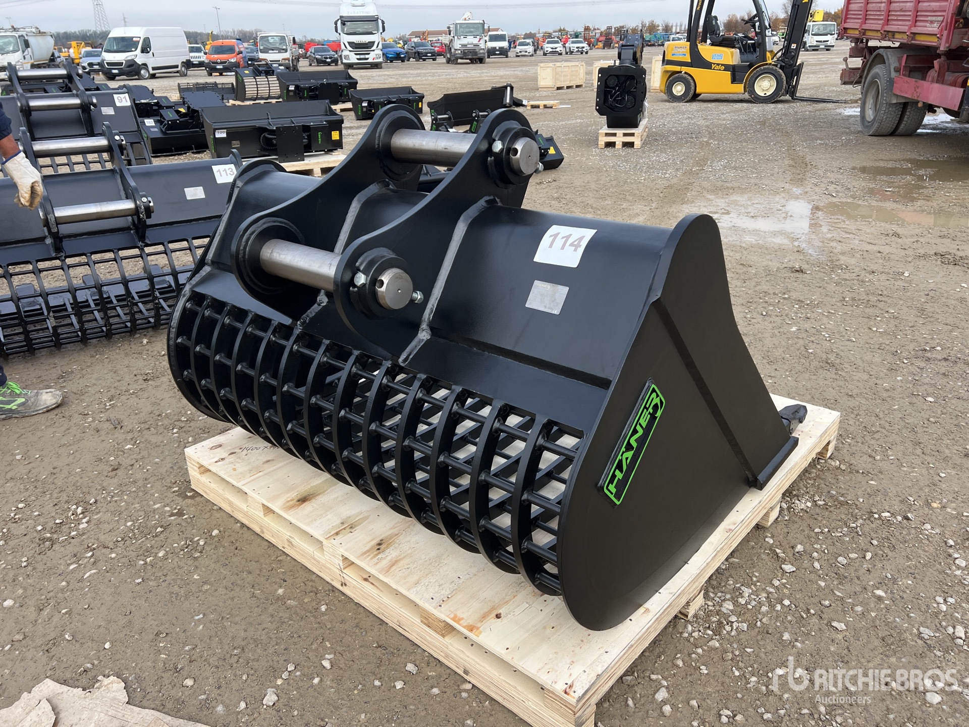 General Appearance with 