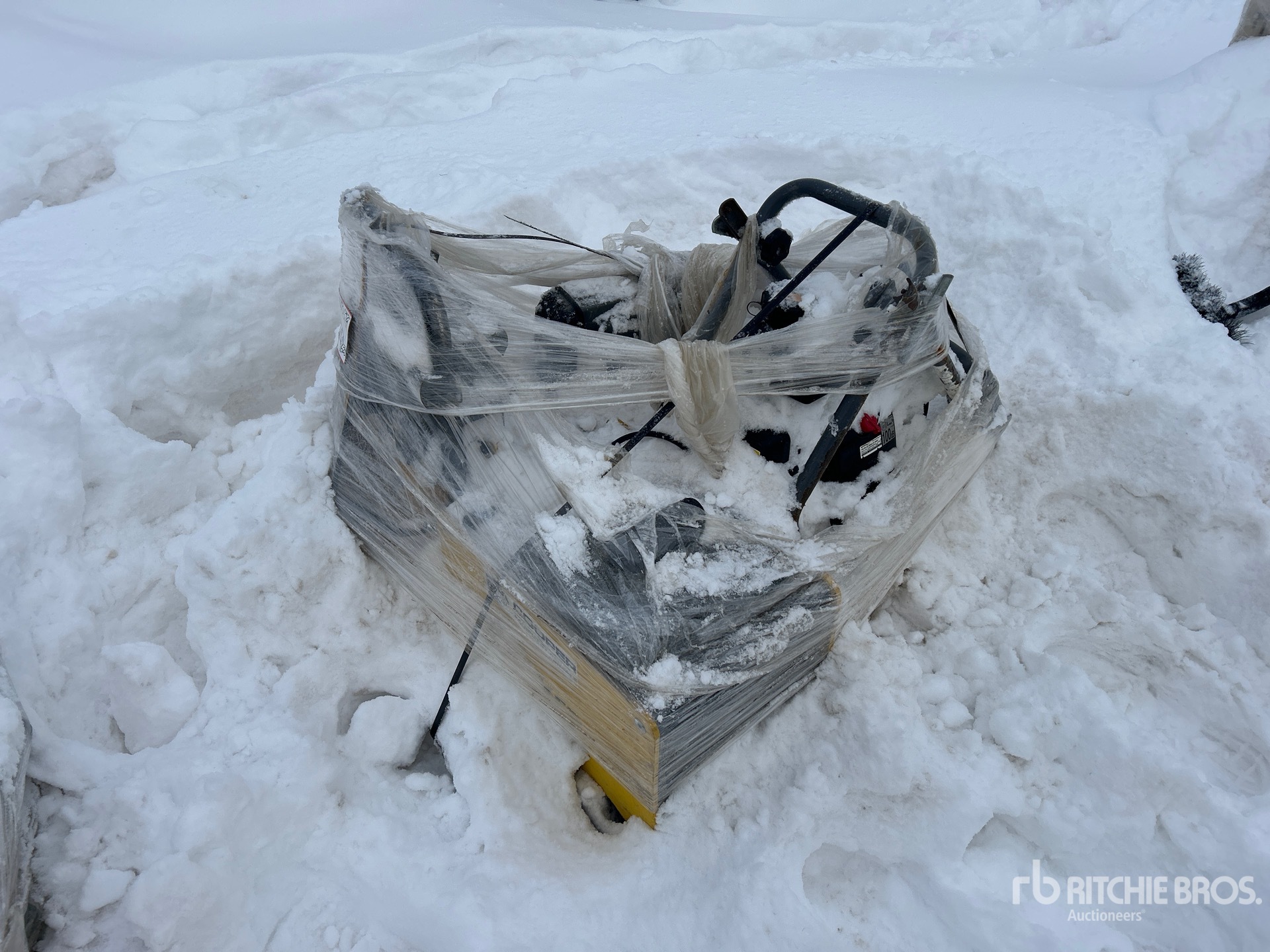 General Appearance with Foto, angolo anteriore sinistro