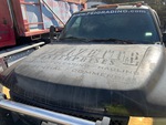 General Appearance with Paint