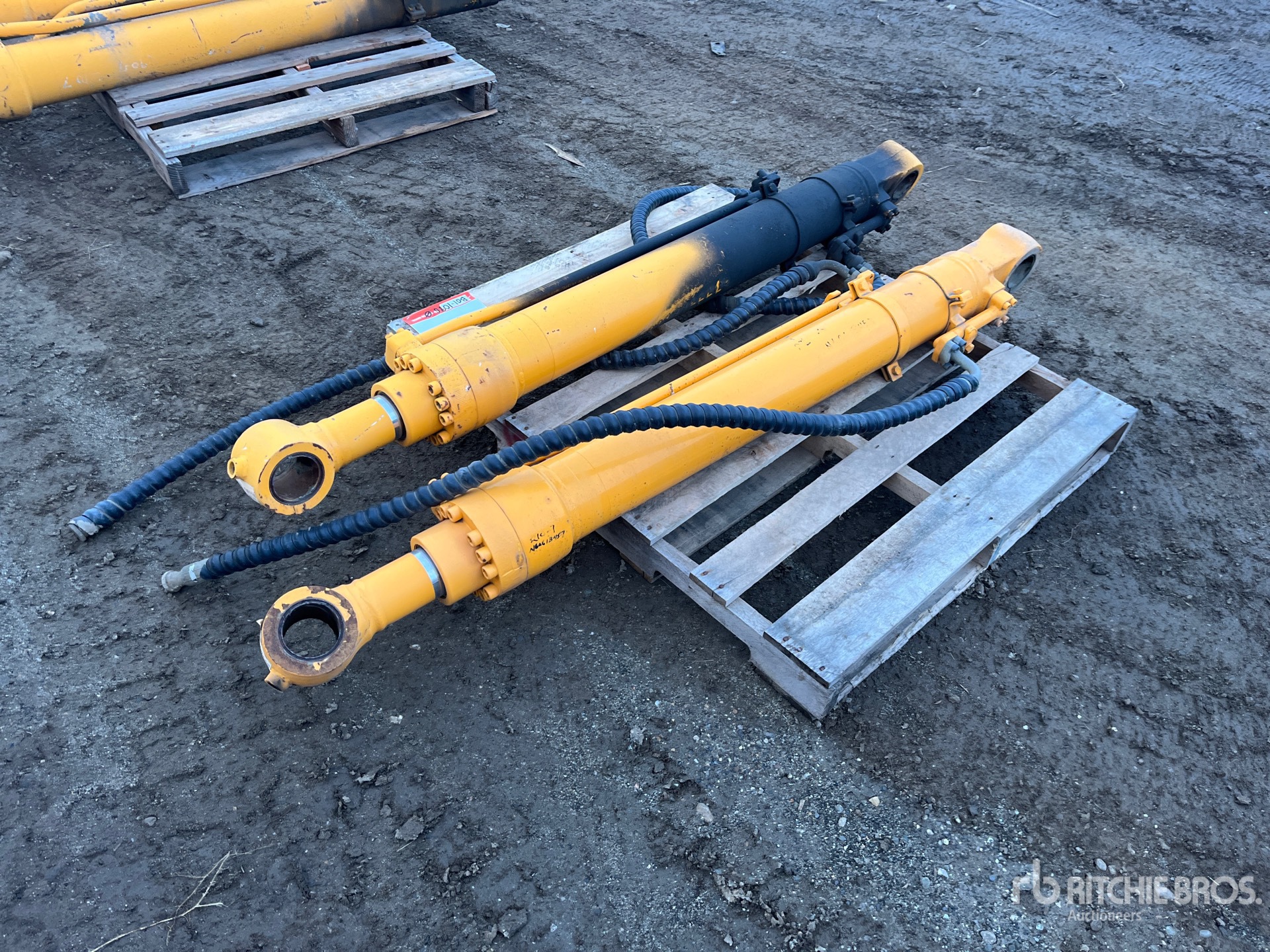 General Appearance with Bild, Ecke hinten links