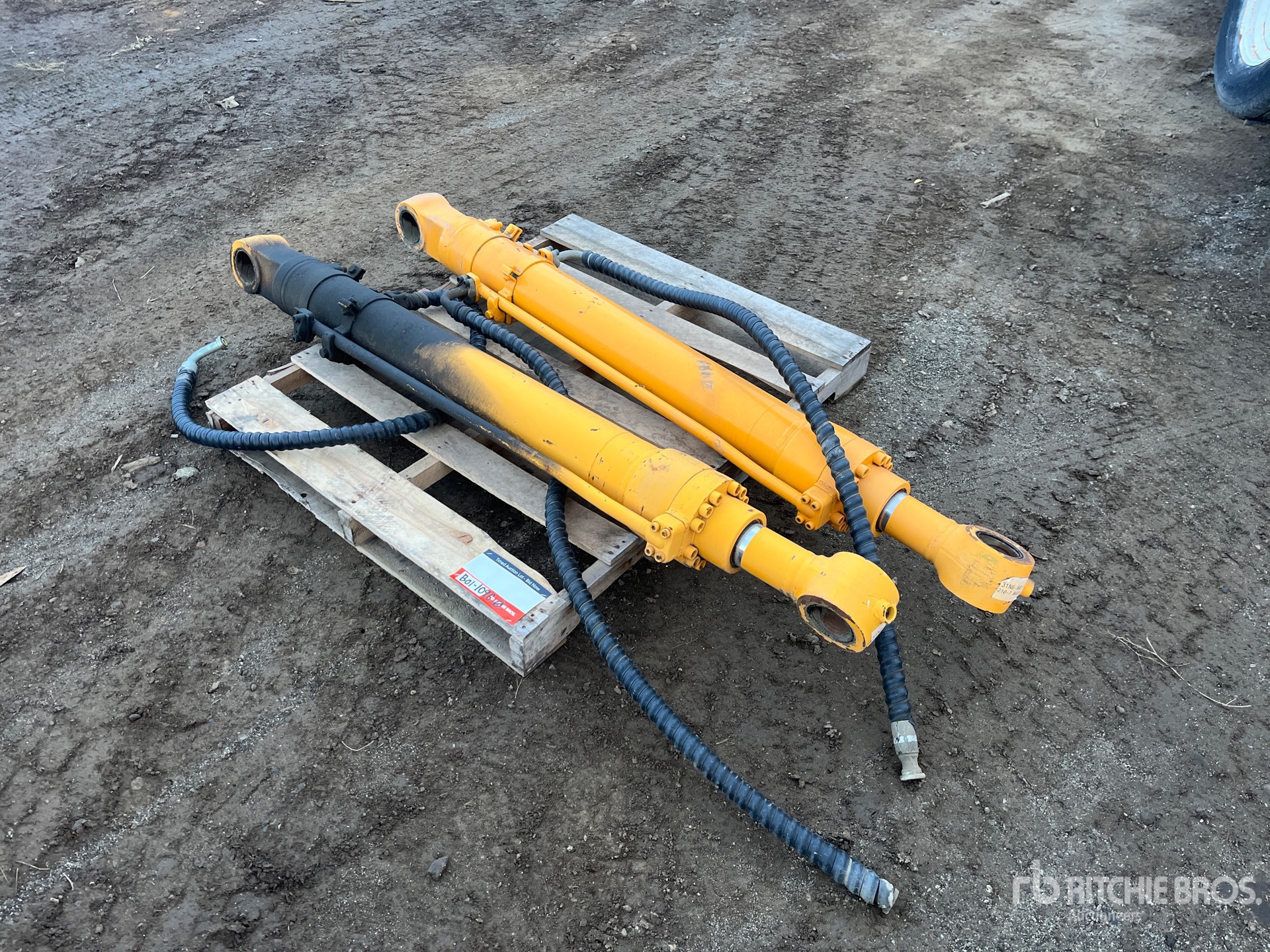 General Appearance with Bild, Ecke vorne links