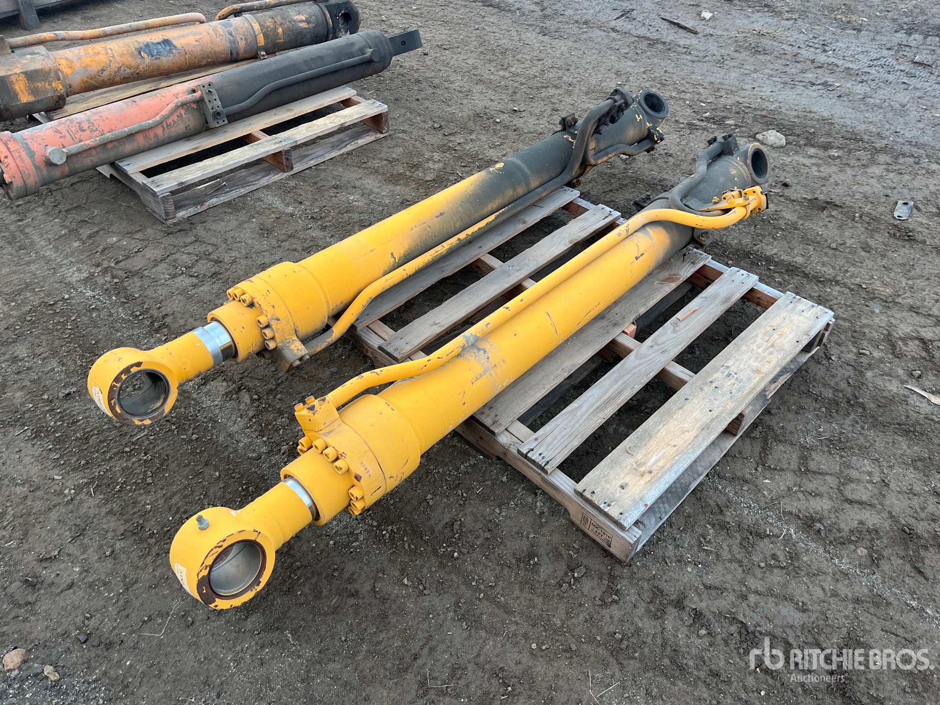 General Appearance with Foto, angolo posteriore sinistro