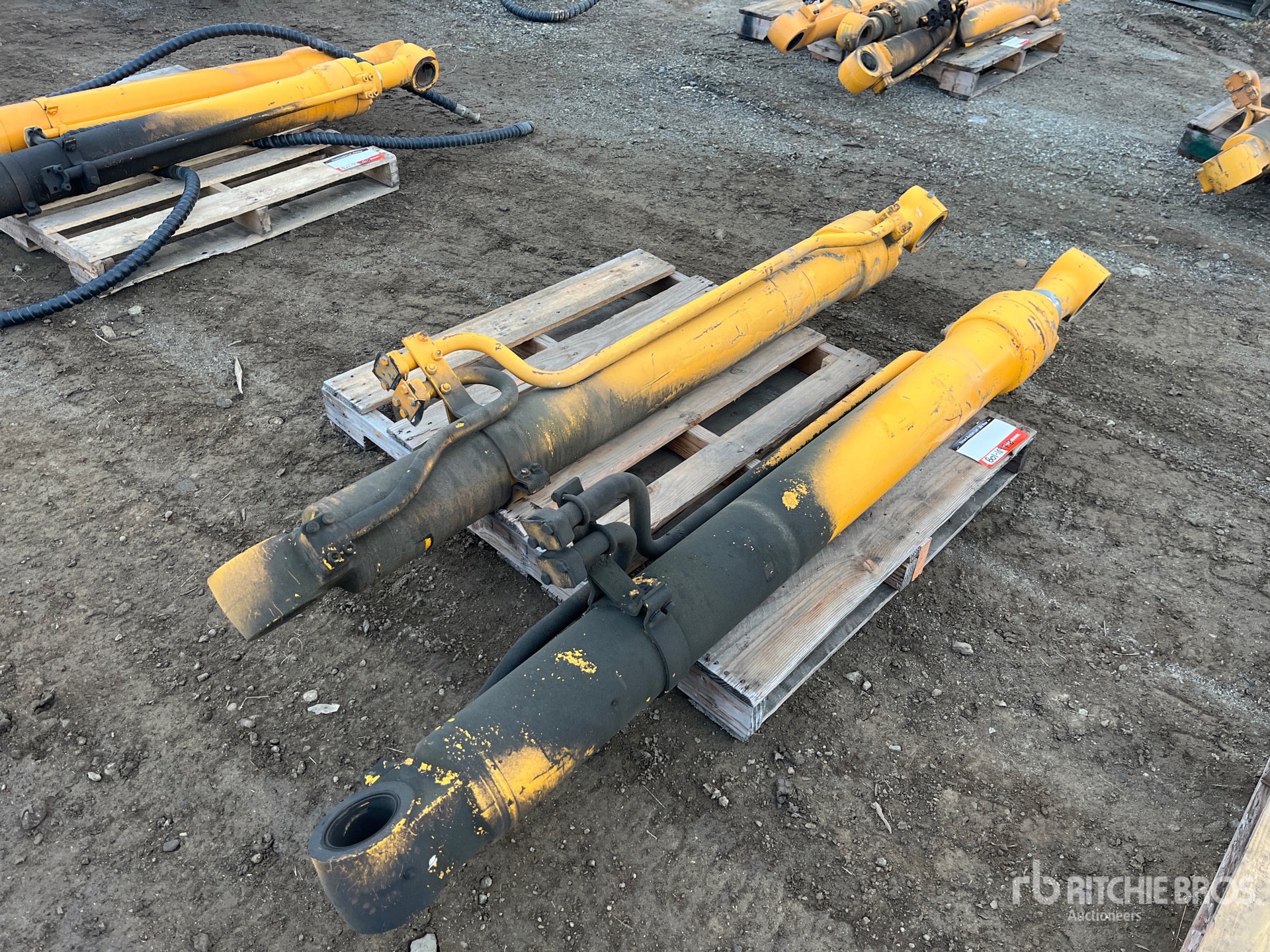 General Appearance with Foto, angolo anteriore destro