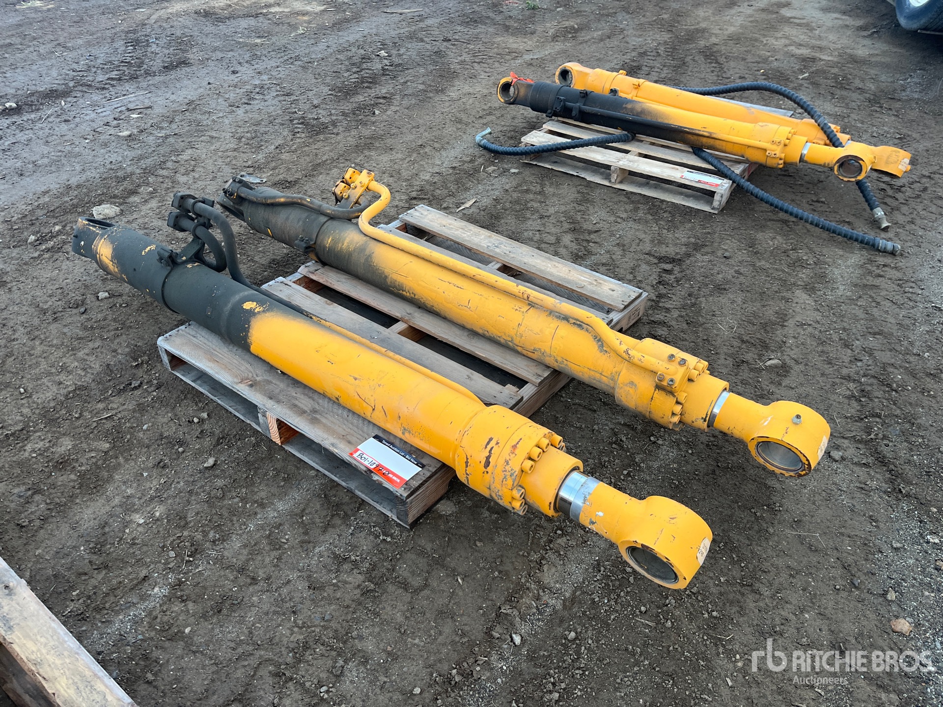 General Appearance with Foto, angolo anteriore sinistro