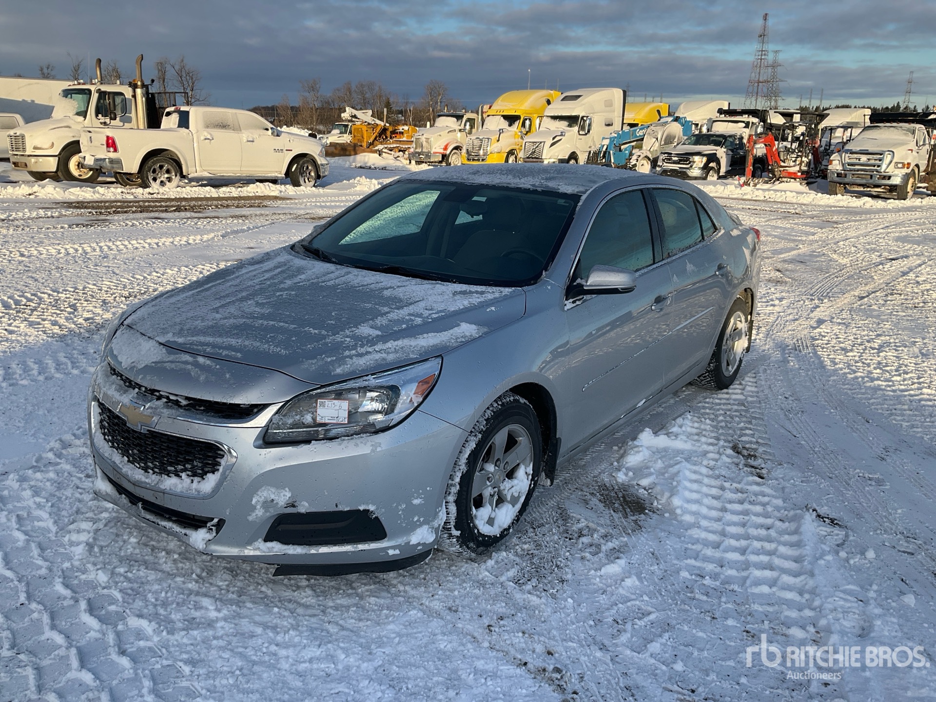 General Appearance with Spin