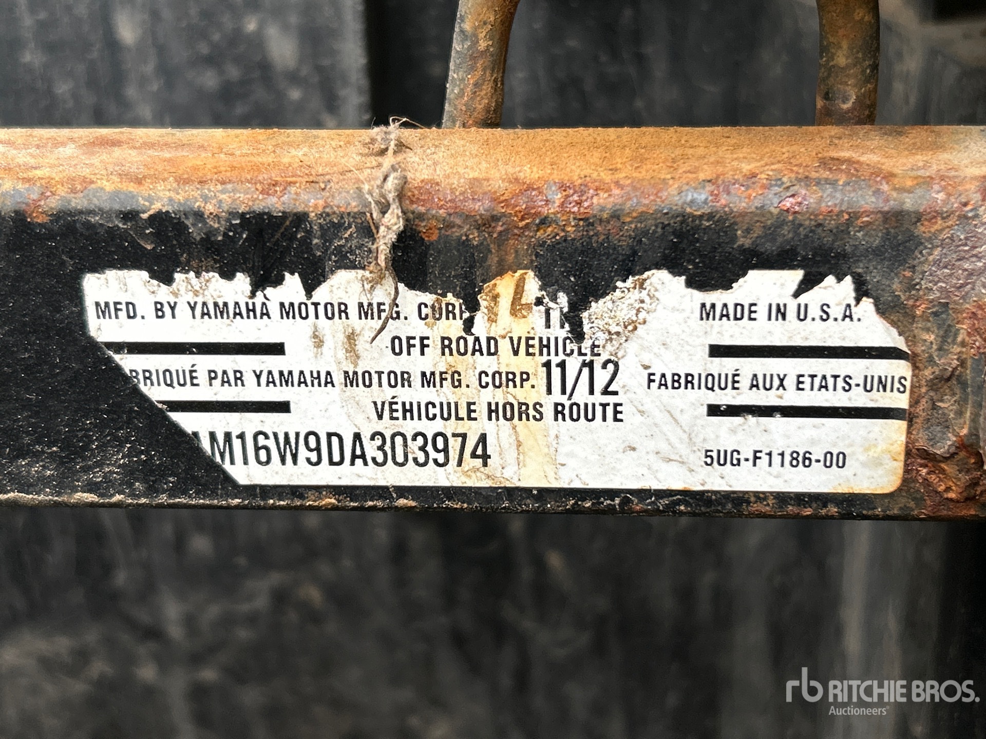 General Appearance with Numero seriale/numero d’identificazione del veicolo (VIN)