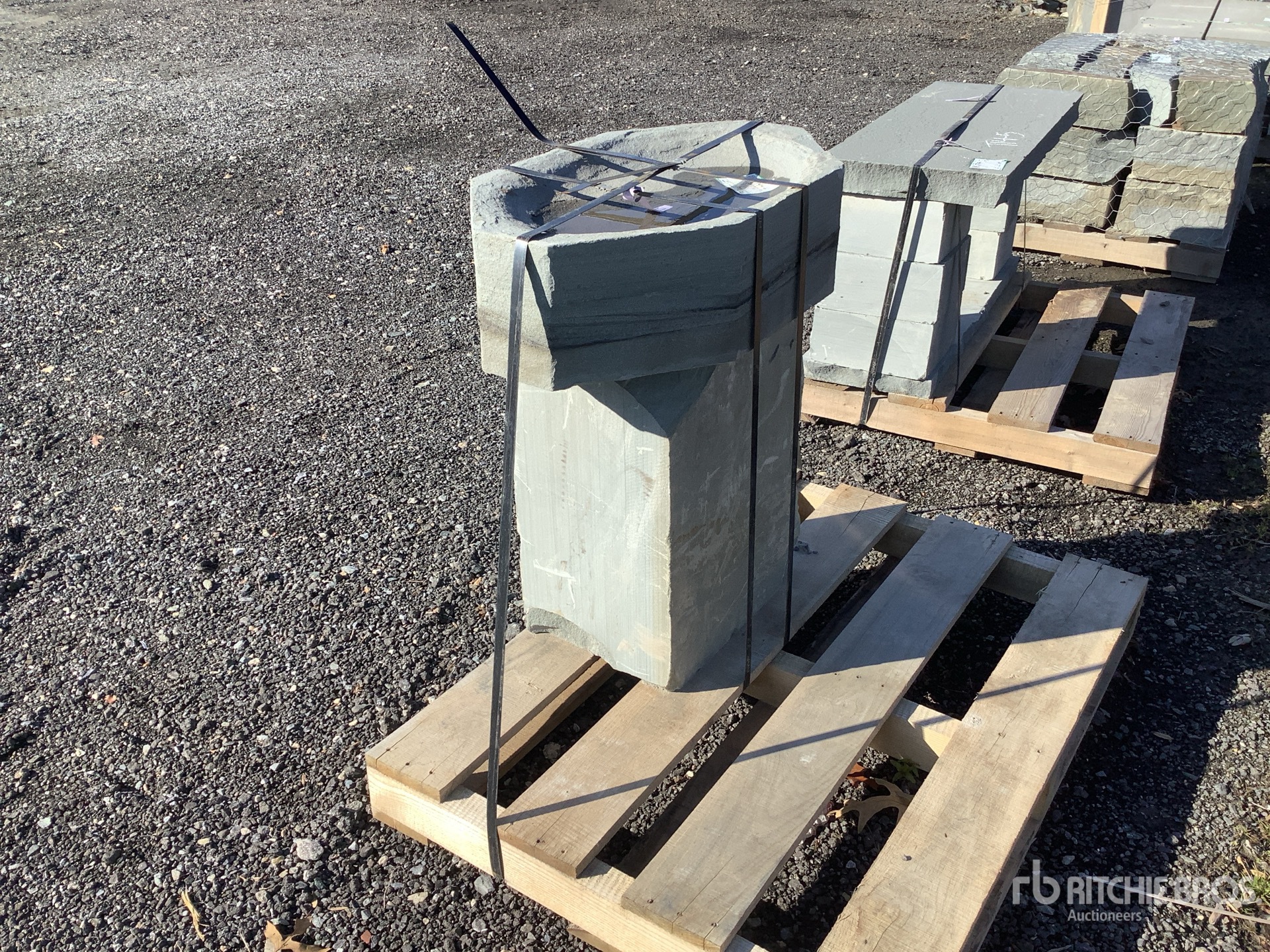 General Appearance with Zdjęcie, lewy dolny róg