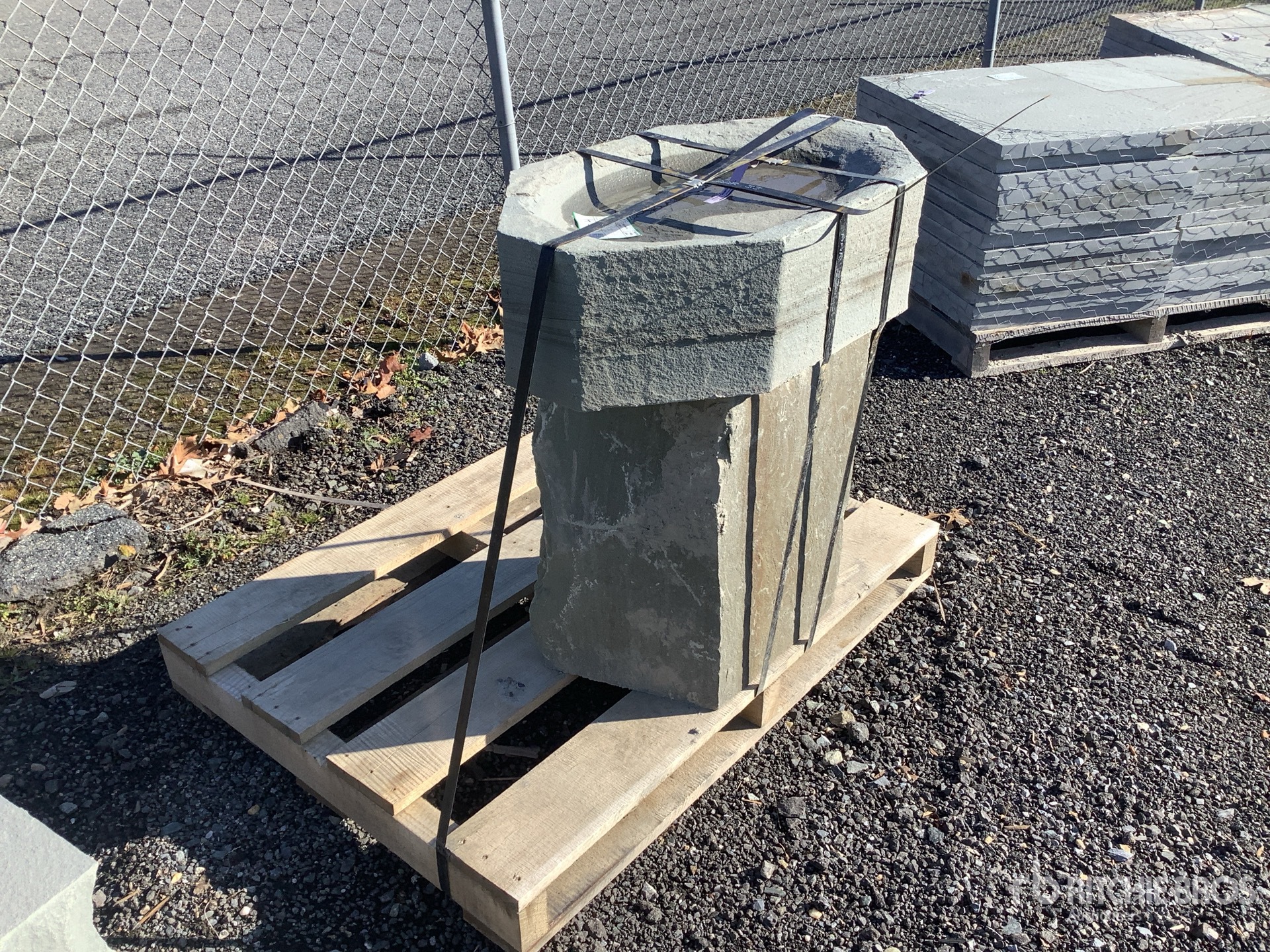 General Appearance with Zdjęcie, prawy górny róg