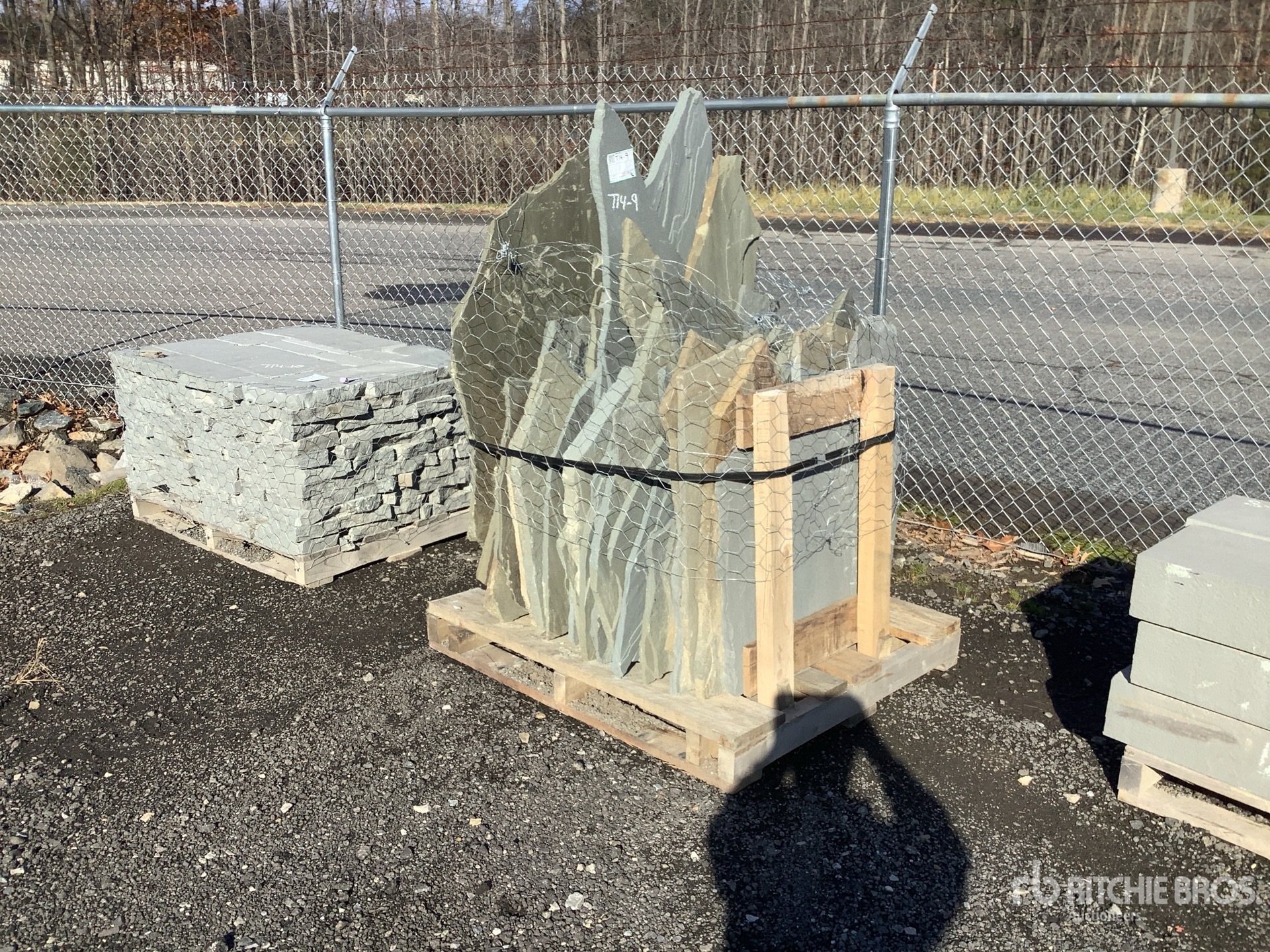 General Appearance with Zdjęcie, lewy dolny róg