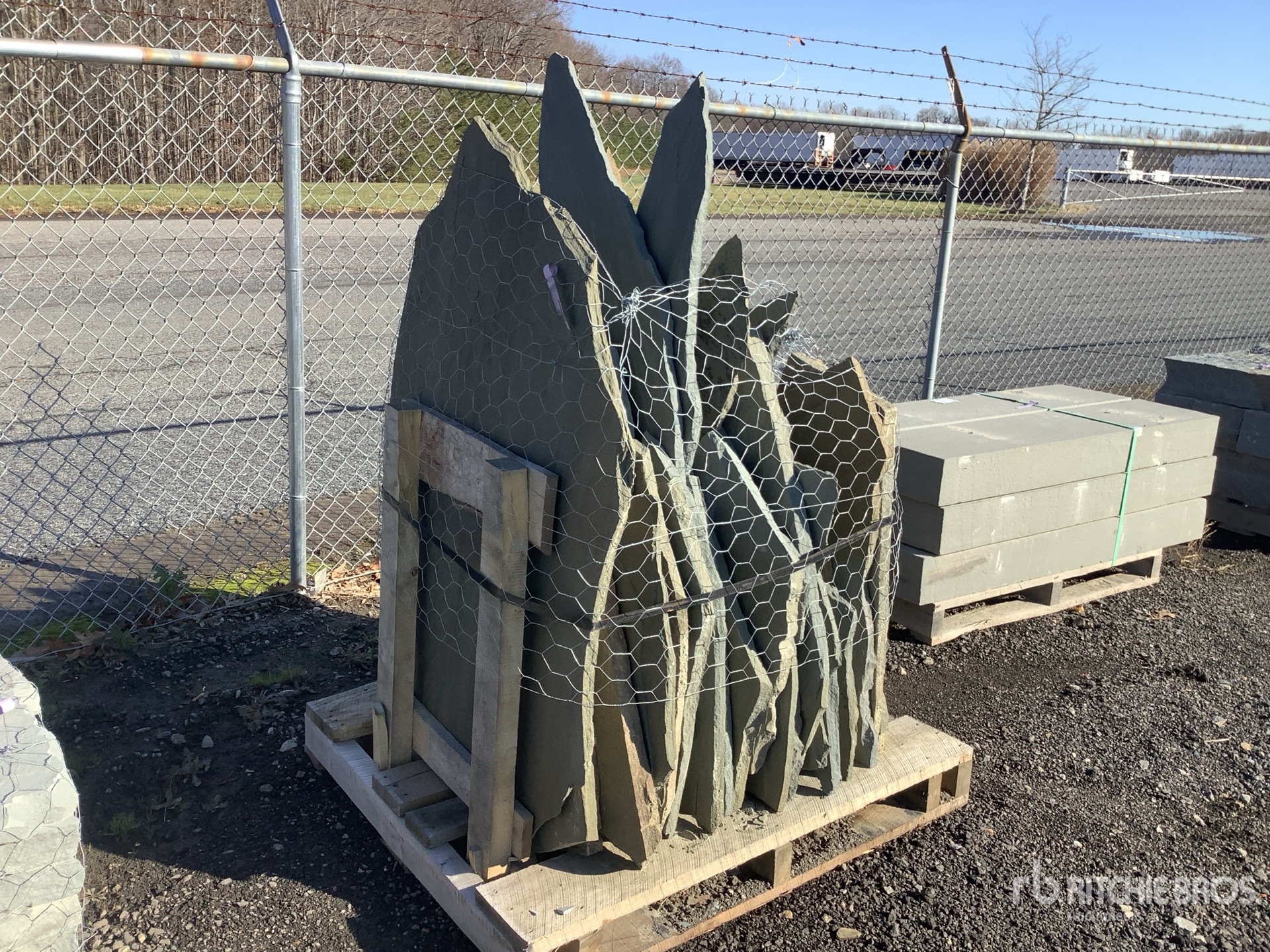 General Appearance with Zdjęcie, prawy dolny róg