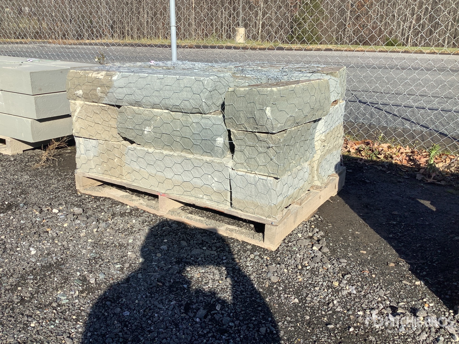 General Appearance with Zdjęcie, lewy dolny róg