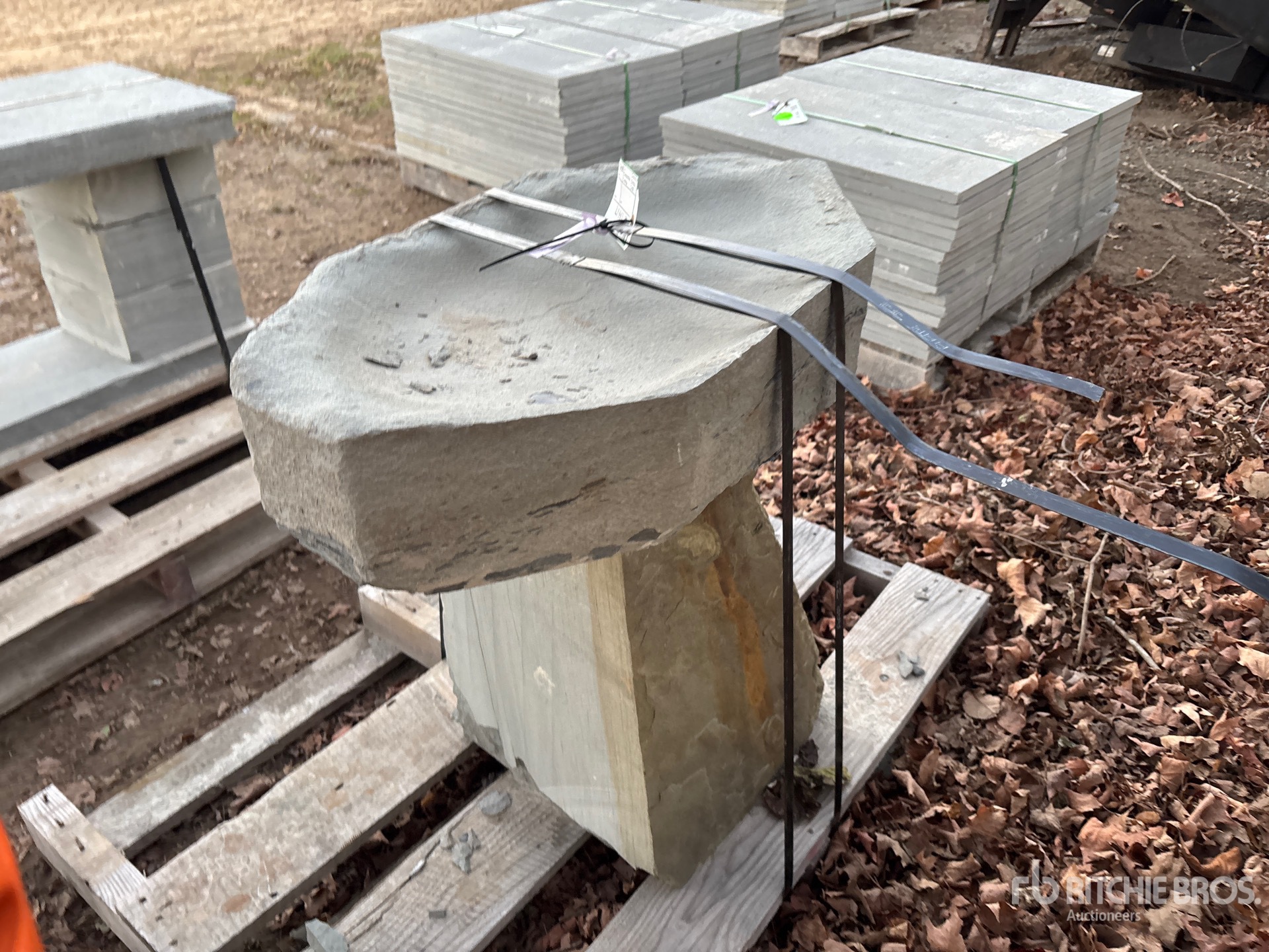 General Appearance with Imagen: esquina trasera izquierda