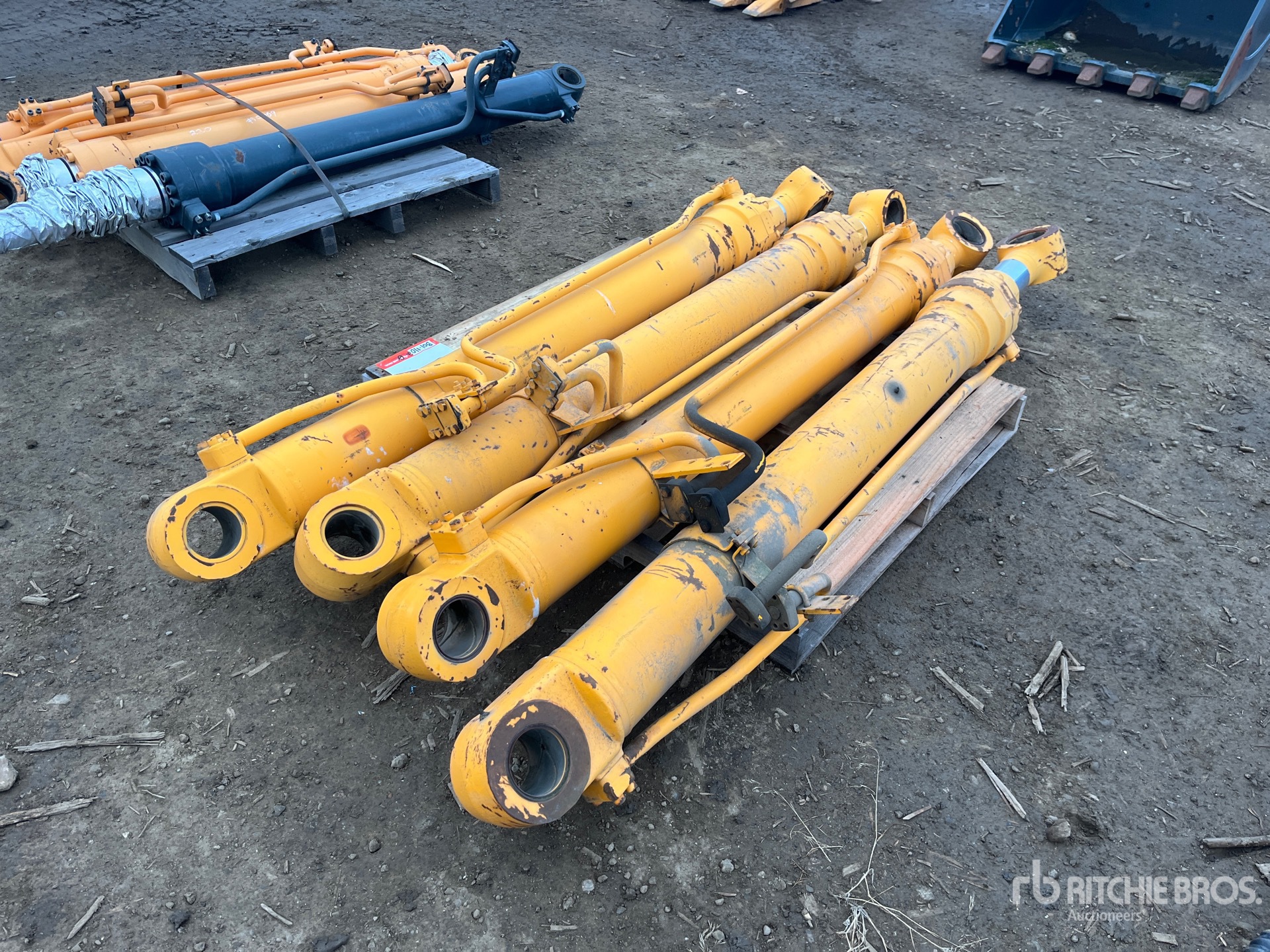 General Appearance with Bild, Ecke hinten links