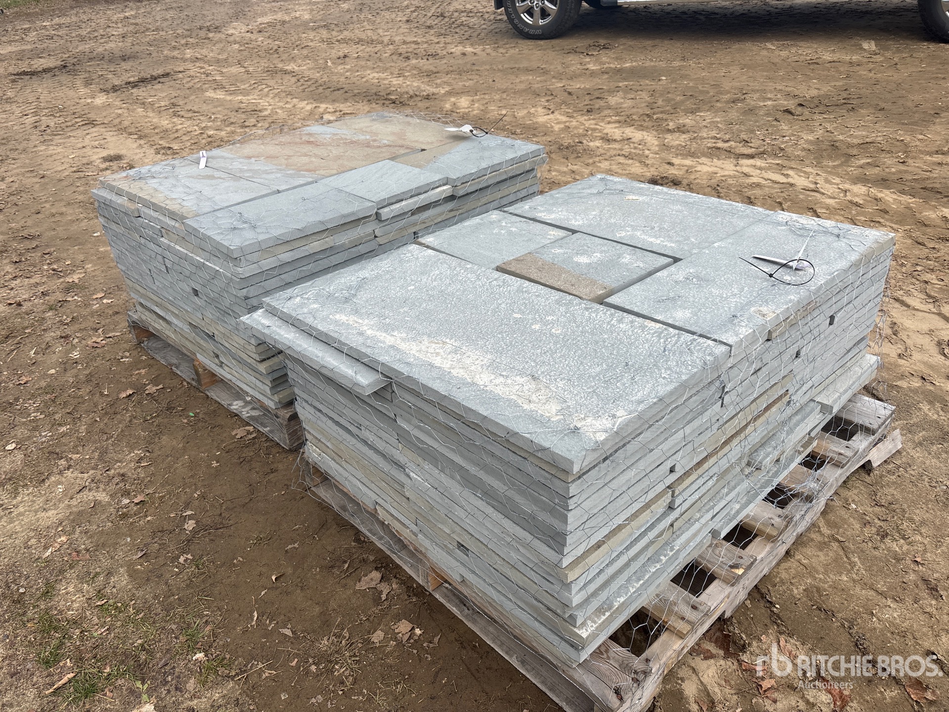 General Appearance with Zdjęcie, prawy dolny róg