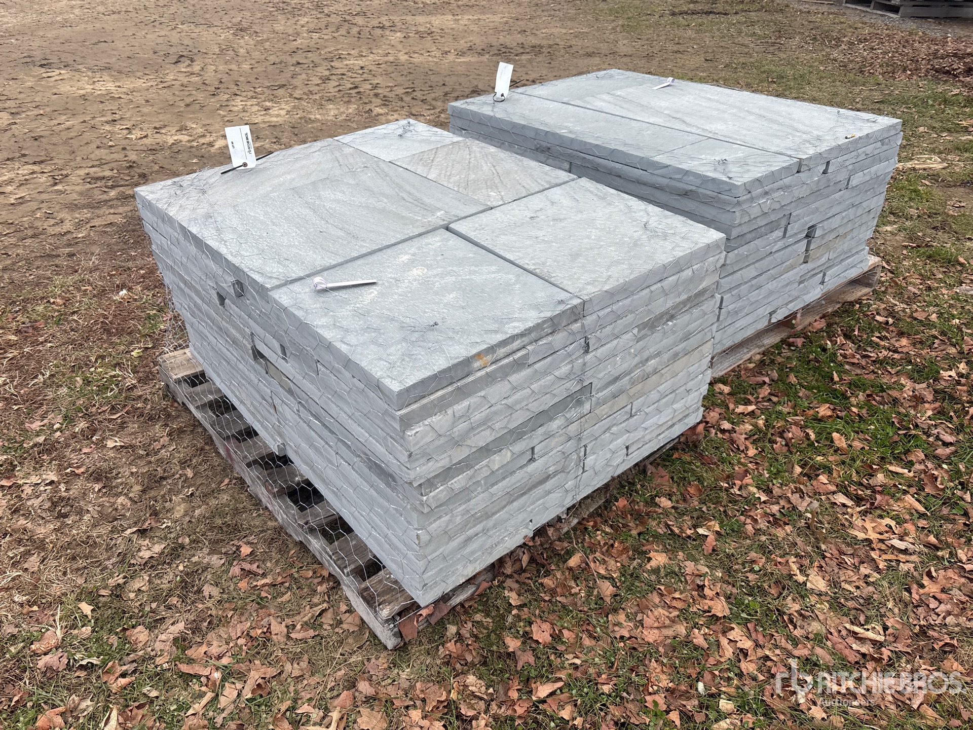 General Appearance with Zdjęcie, lewy dolny róg