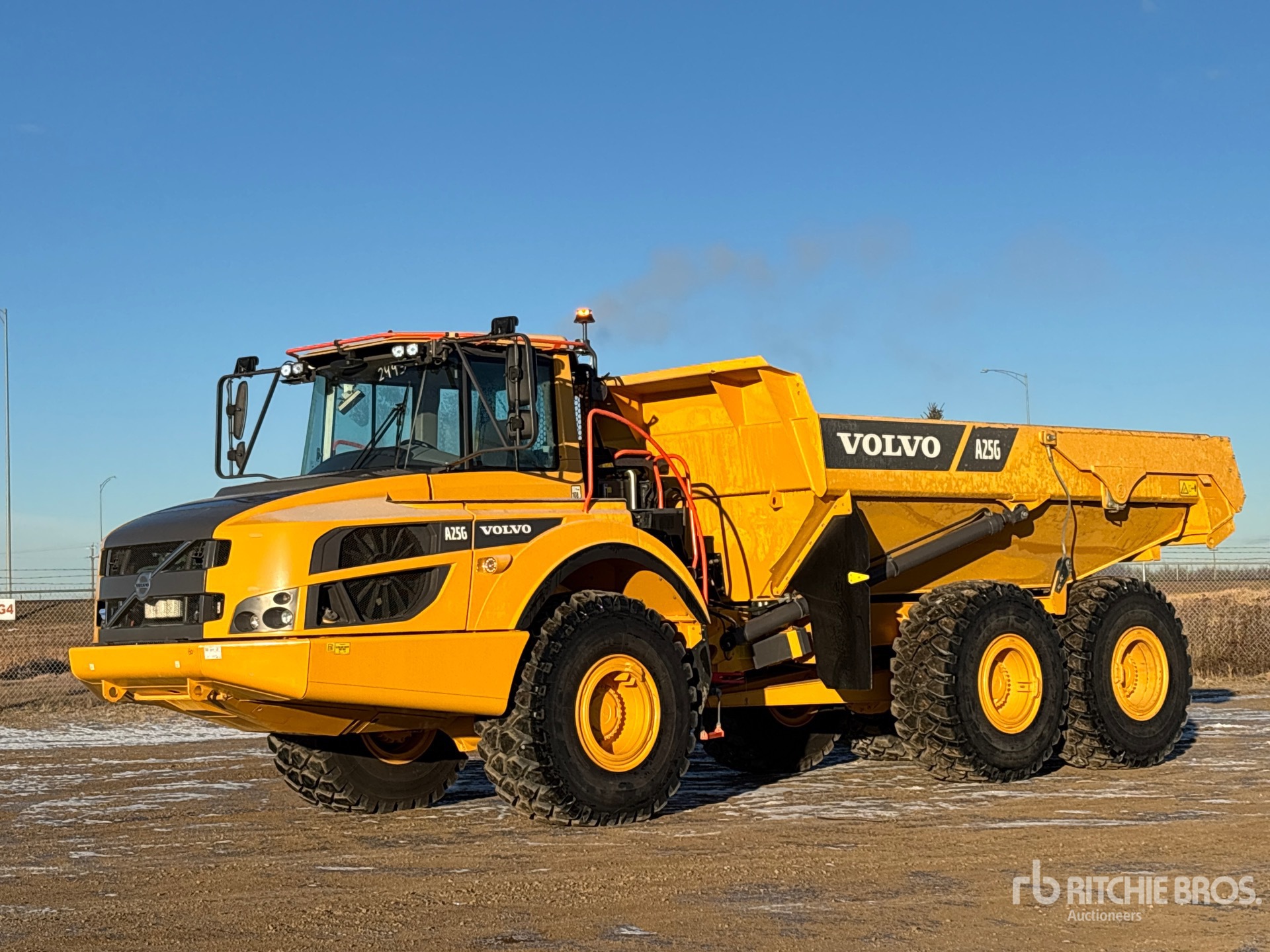 General Appearance with Spin