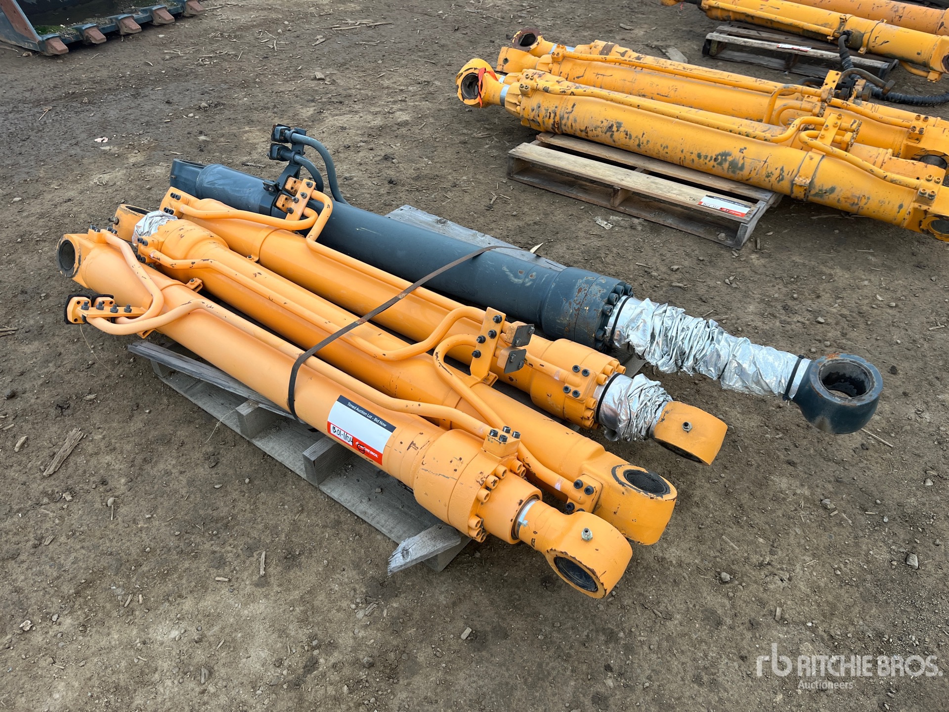 General Appearance with Bild, Ecke vorne links