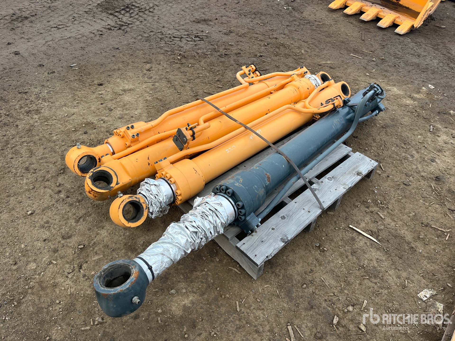 General Appearance with Bild, Ecke hinten links